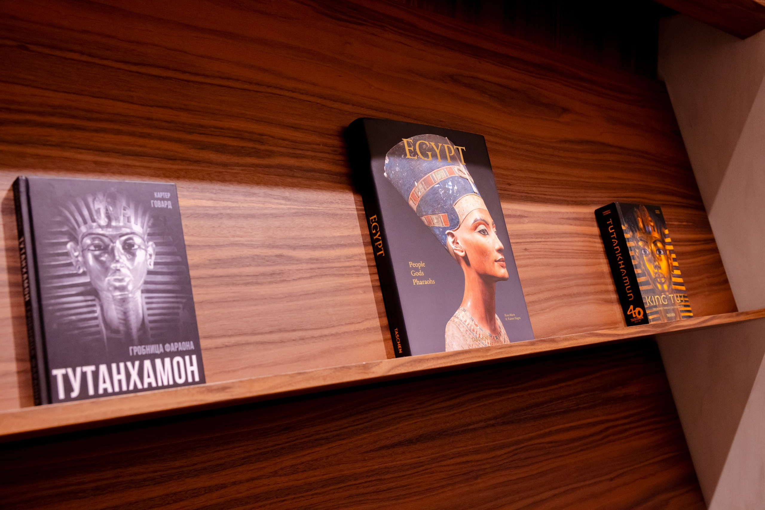 Выставка «Тутанхамон» в Luminar-X. Виктория Зудина — фотограф в Москве