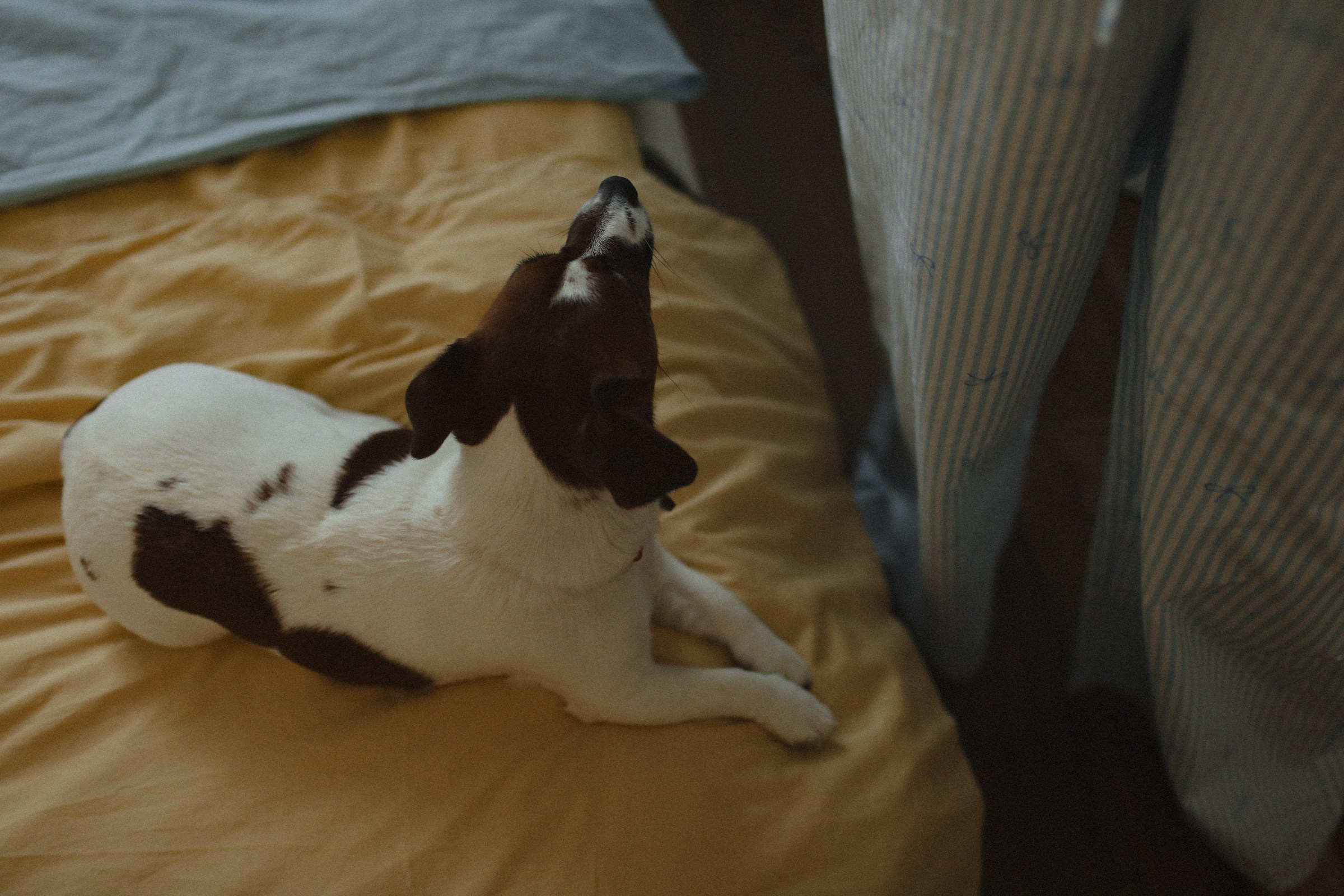 Скоро месяц. Семейный фотограф в Москве Алевтина Носова