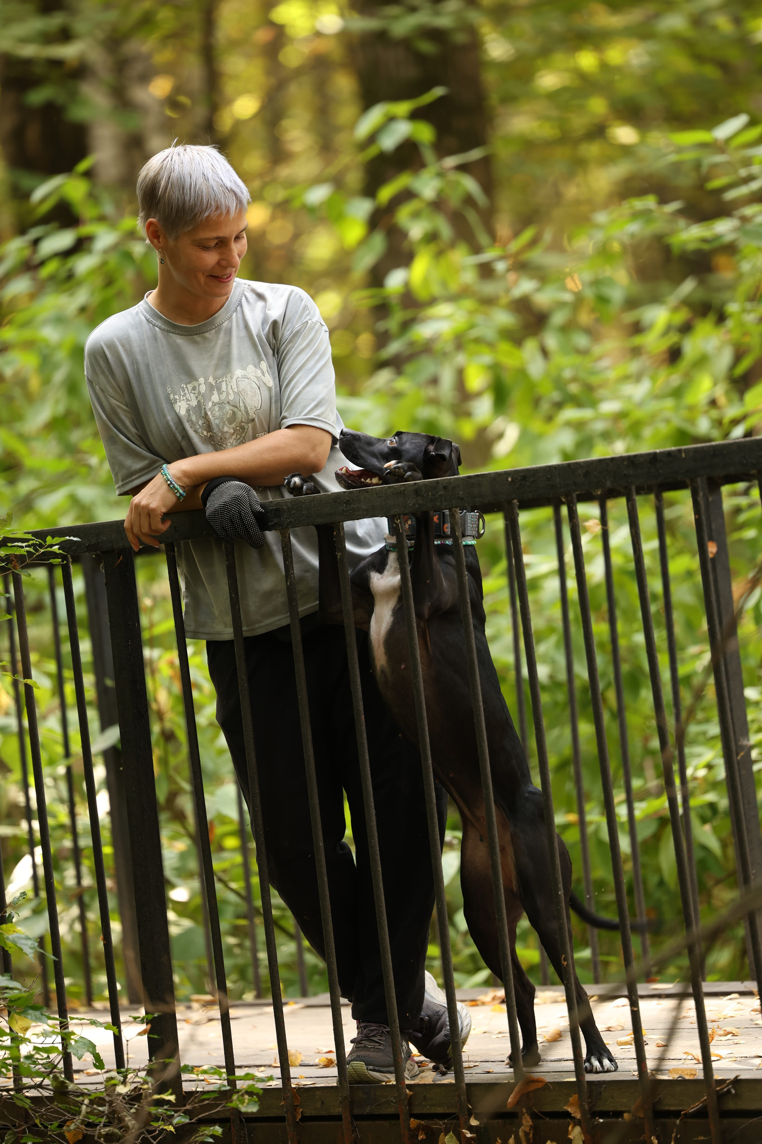 Алена и Бора. Виктория Михайловская. Фотограф-анималист. Москва