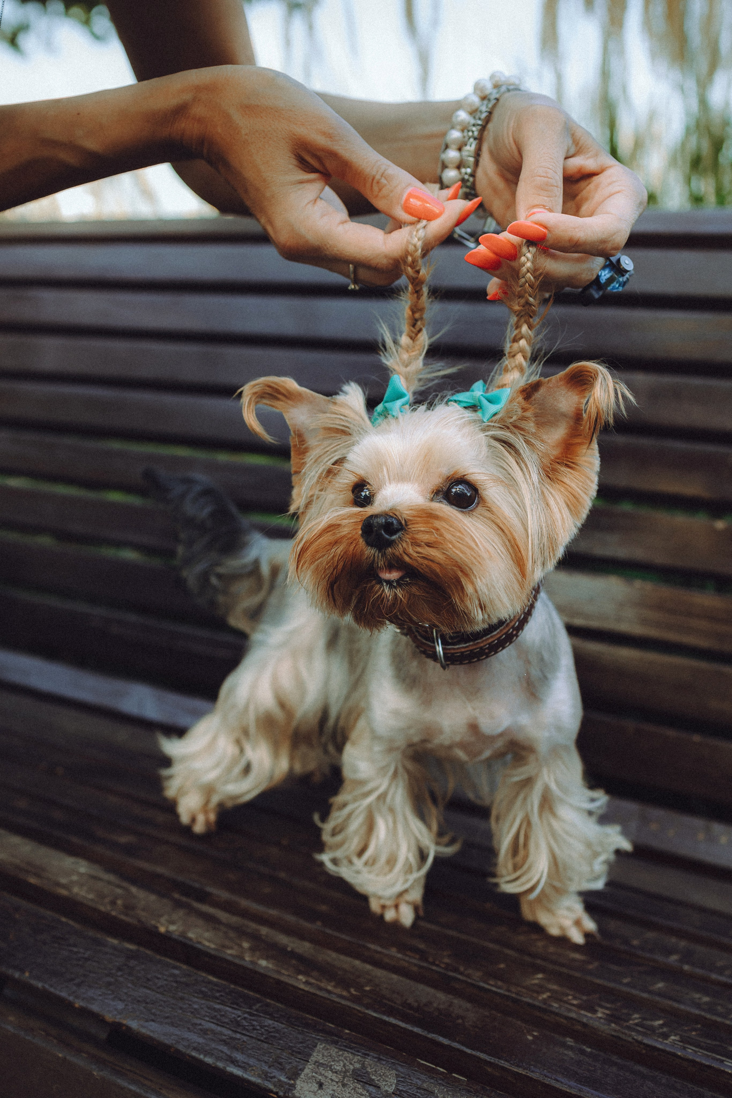 Дженни, Оливия и их семья