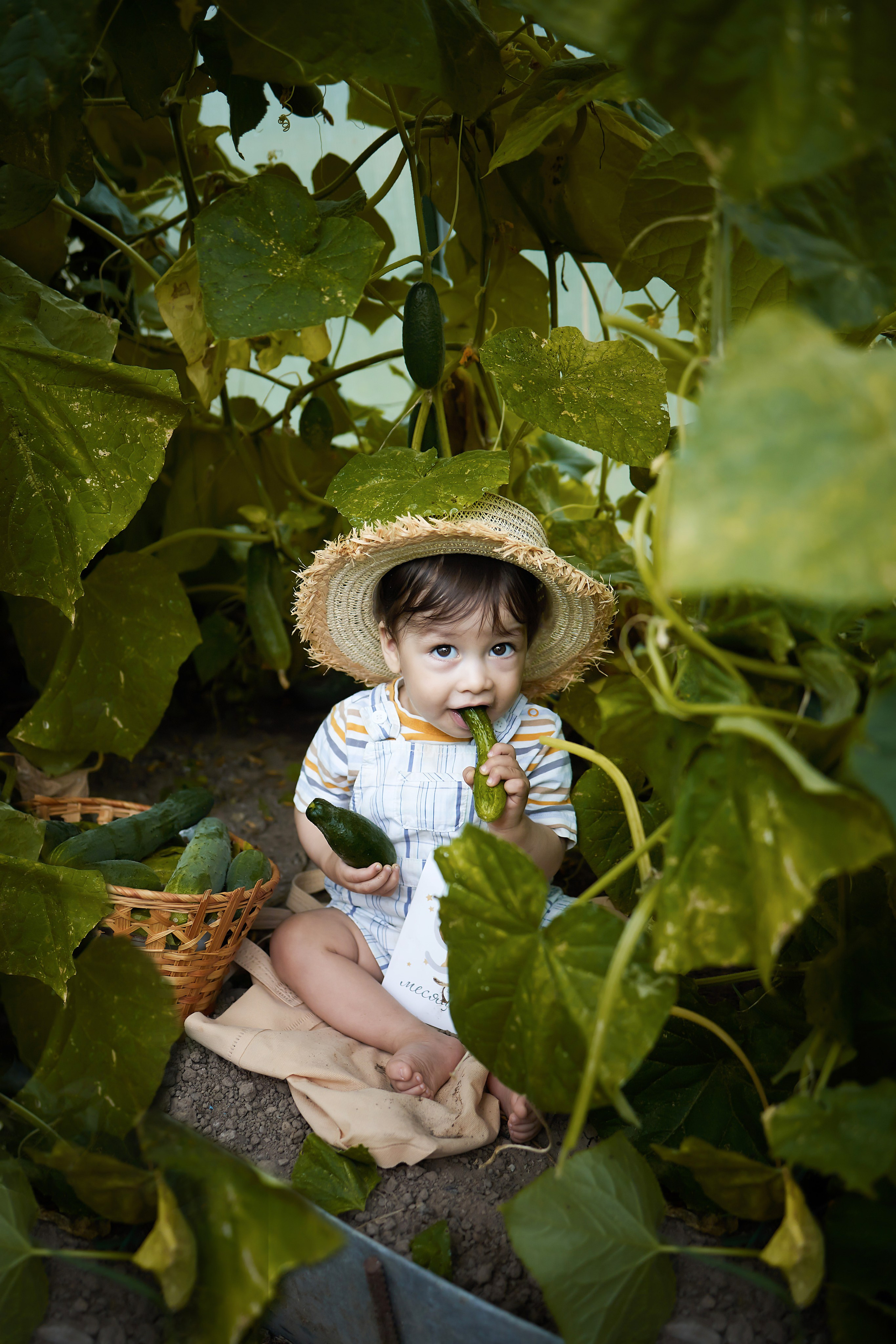 Детские съёмки. Семейный и свадебный фотограф в Ярославле Надежда Бойкова