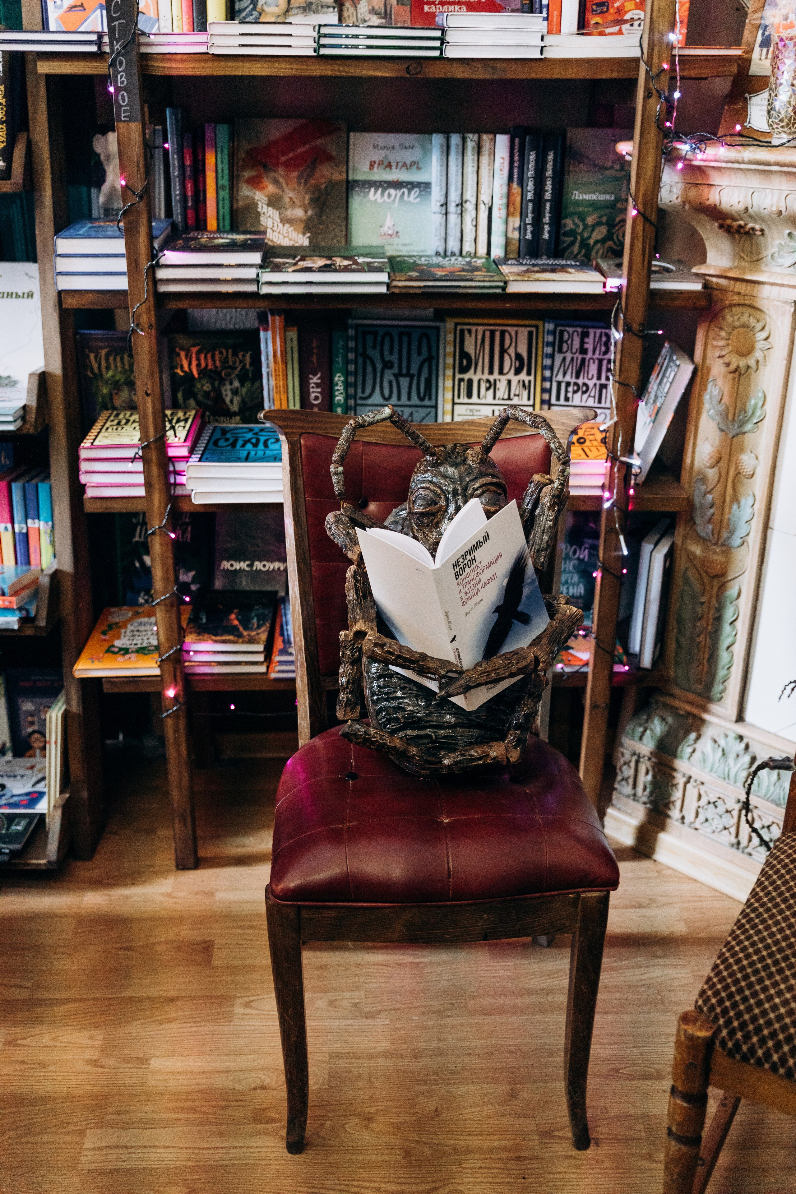 Презентация фотокниги «Beetlemania», 21.01.2024, г. Краснодар, независимый книжный «Чарли». Лера Круглова