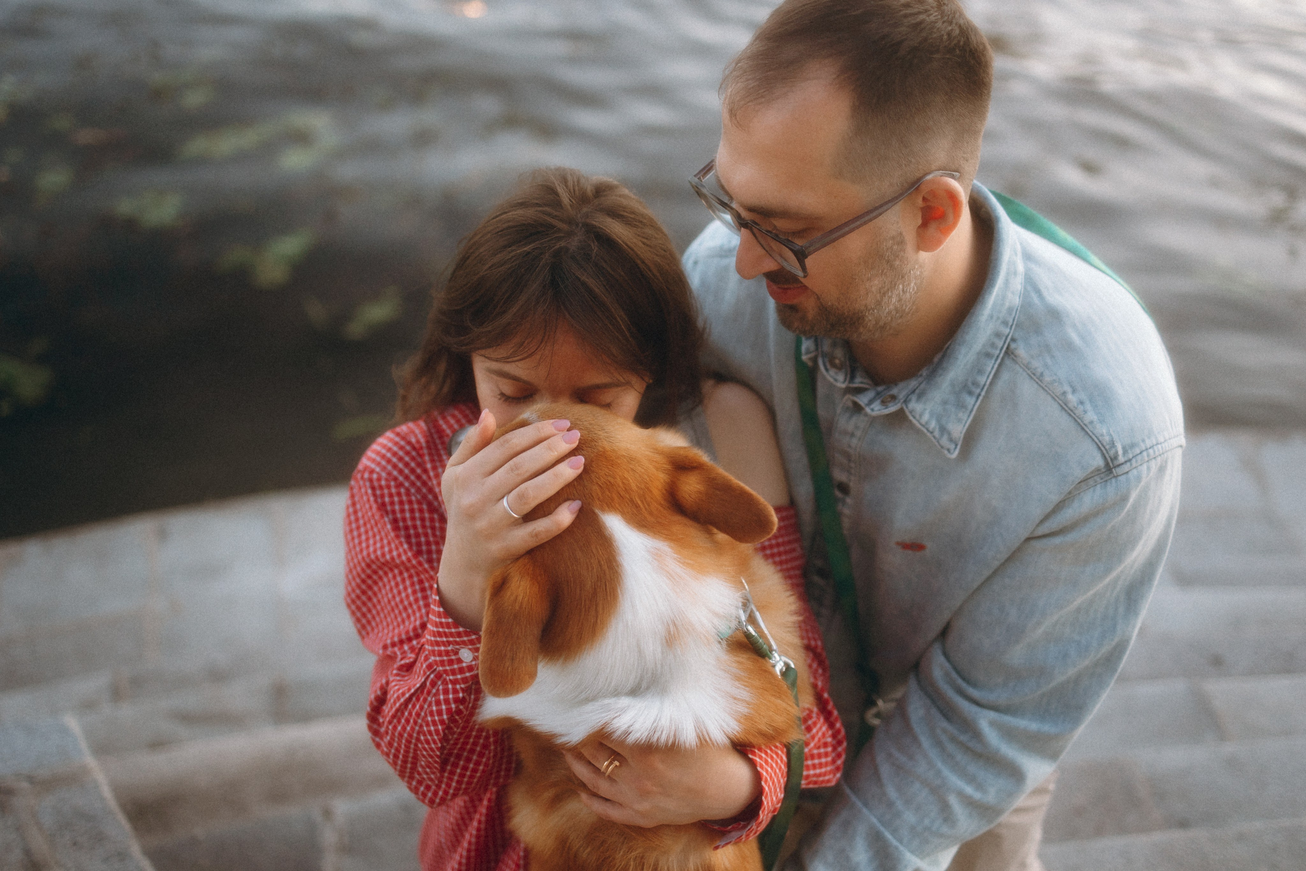 Момо, Люда и Эд. Фотограф анималист Анастасия Пикей