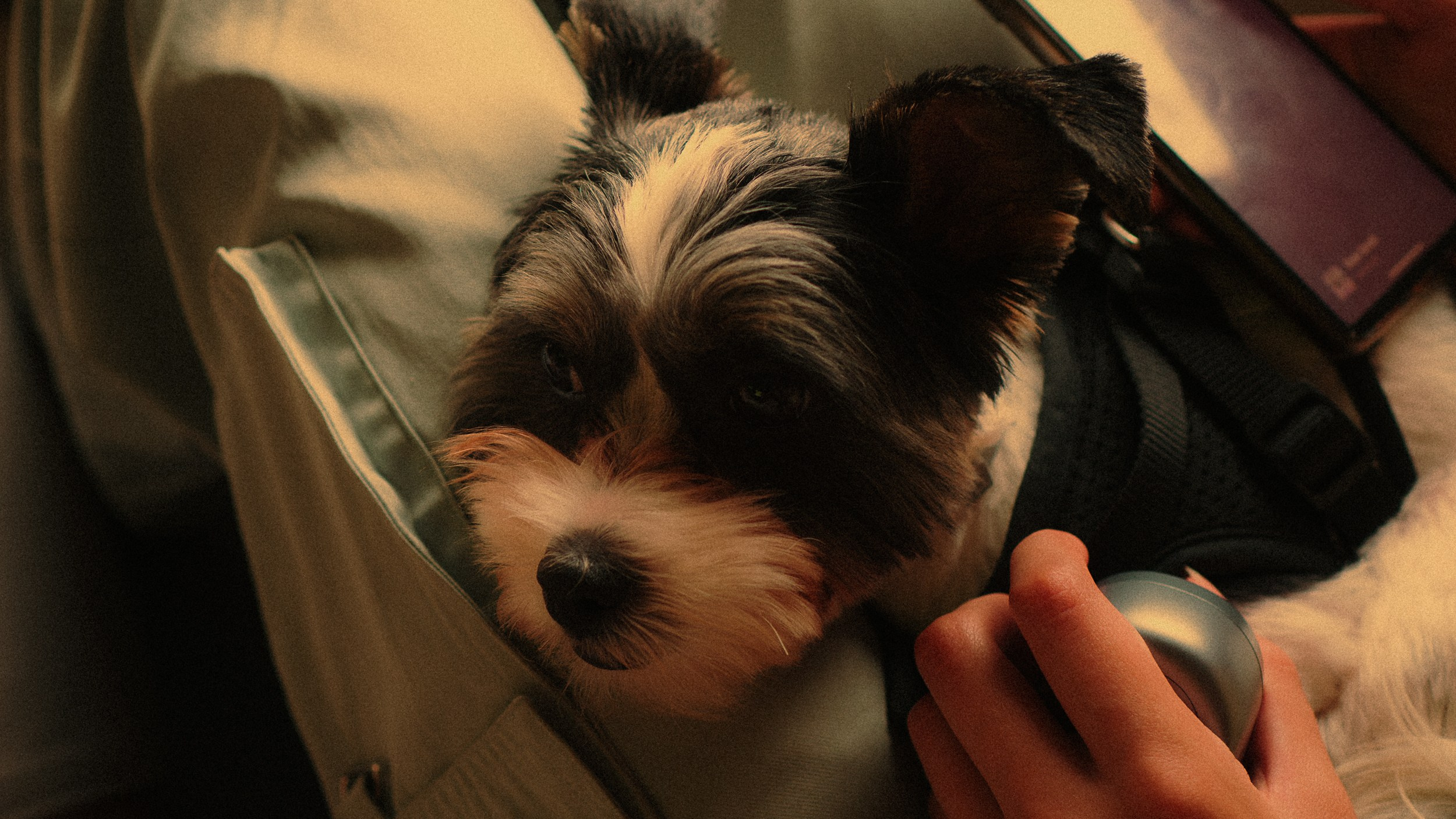 Дача '24. Фёдор Малюгин. Ваш бади в визуале