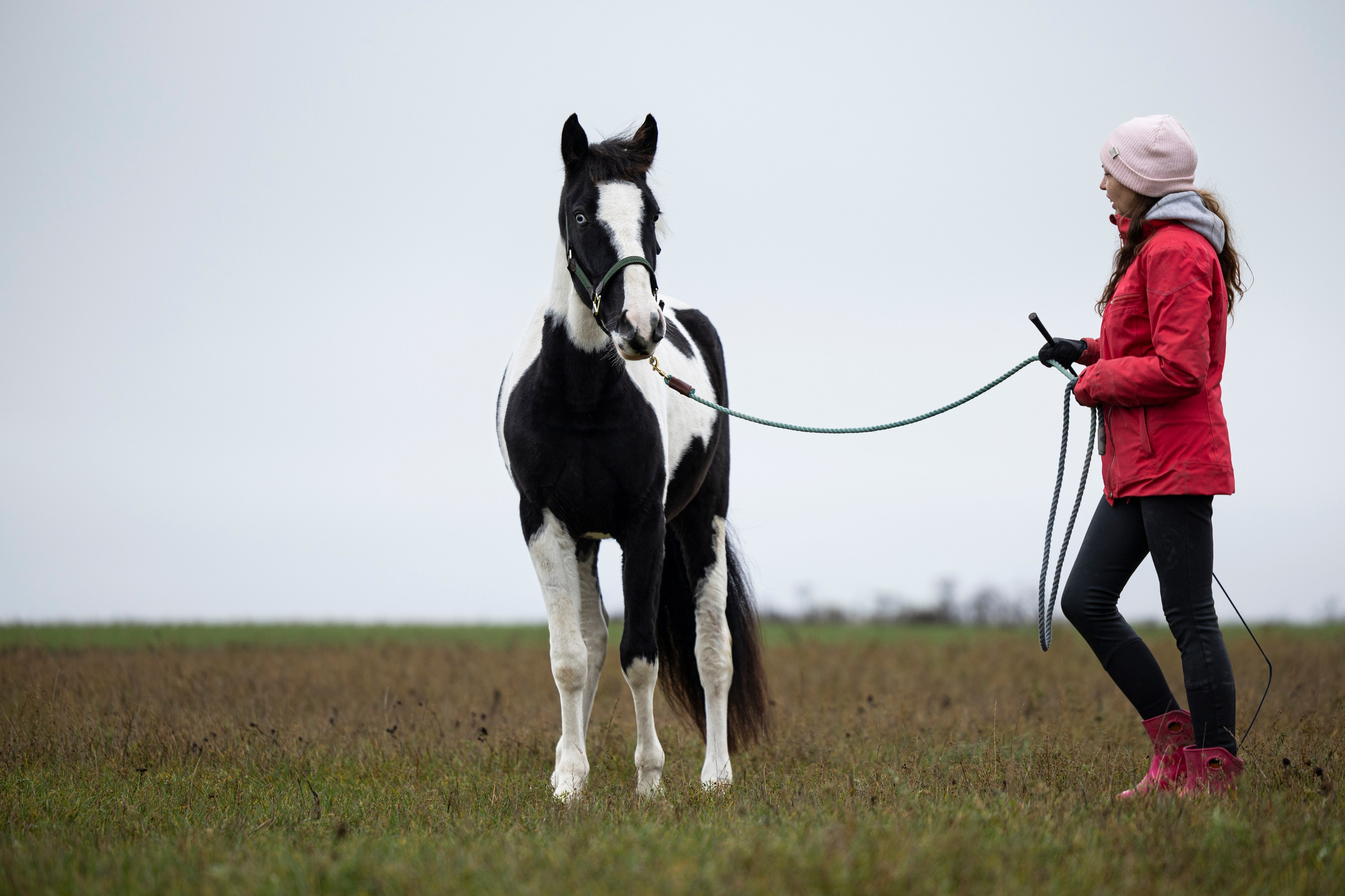 Дракарис и Кейси. Фотограф-анималист Анна Маринич