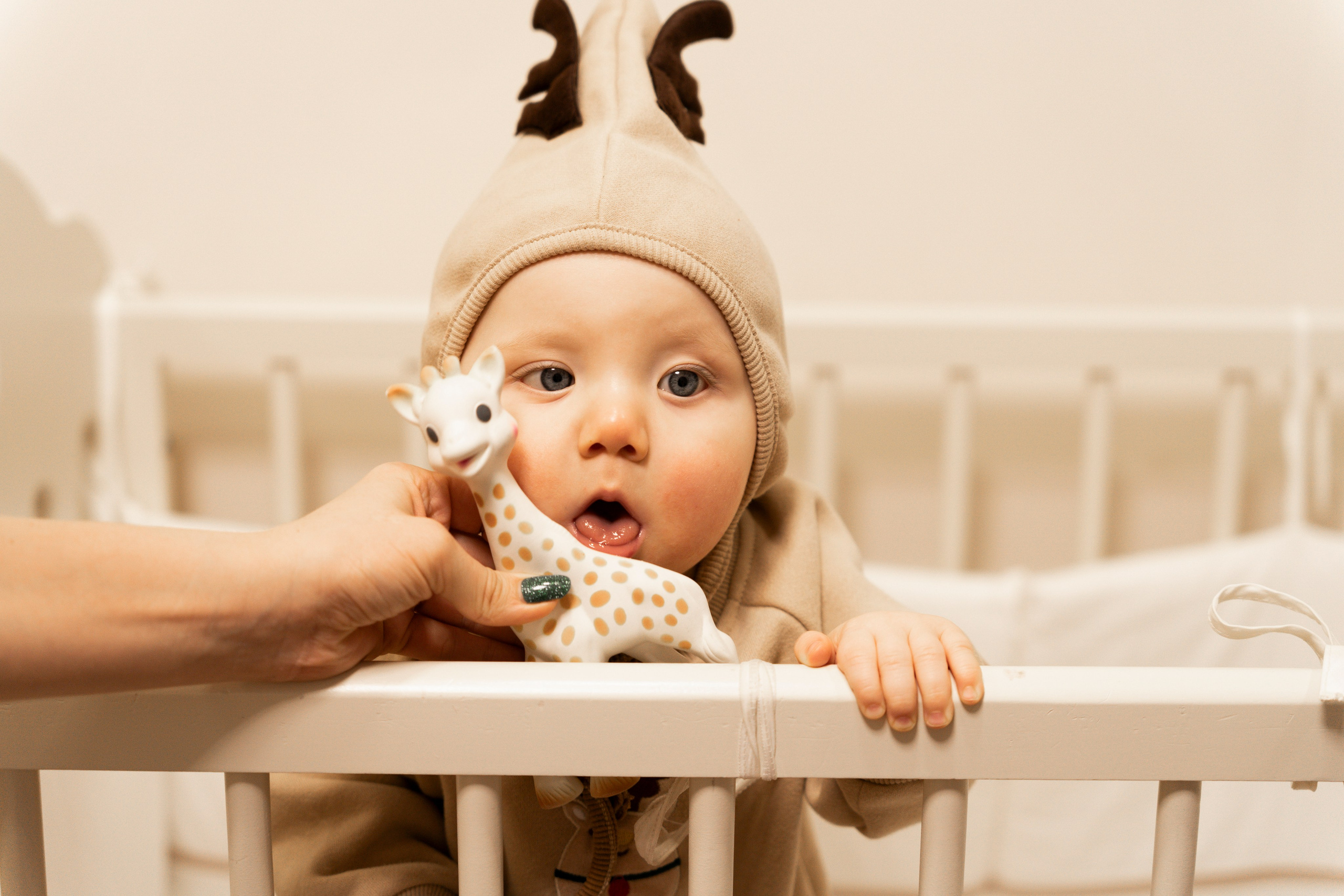 Новогодние тройняшки. Главная