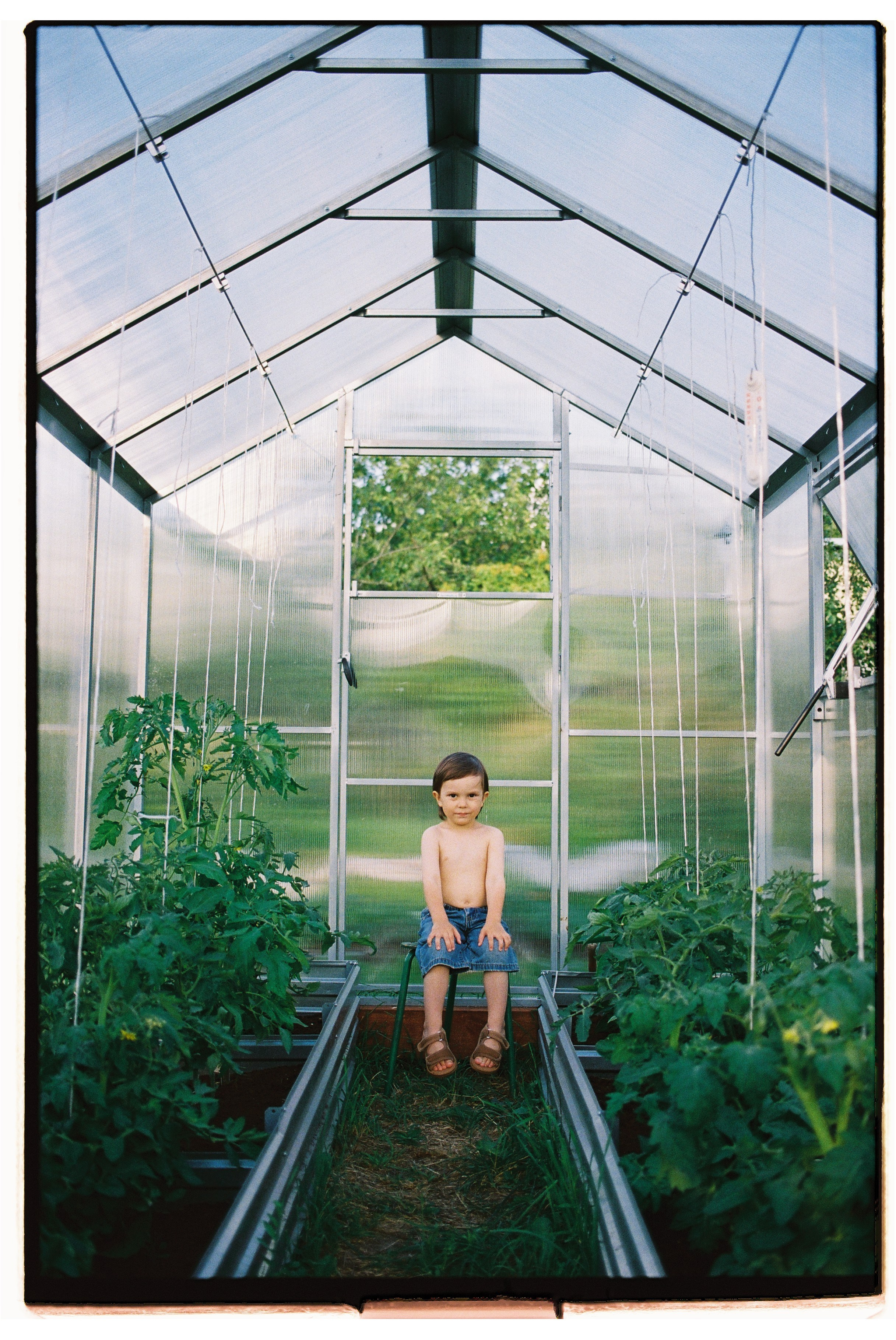 Дача. Свадебный фотограф Артем Смирнов