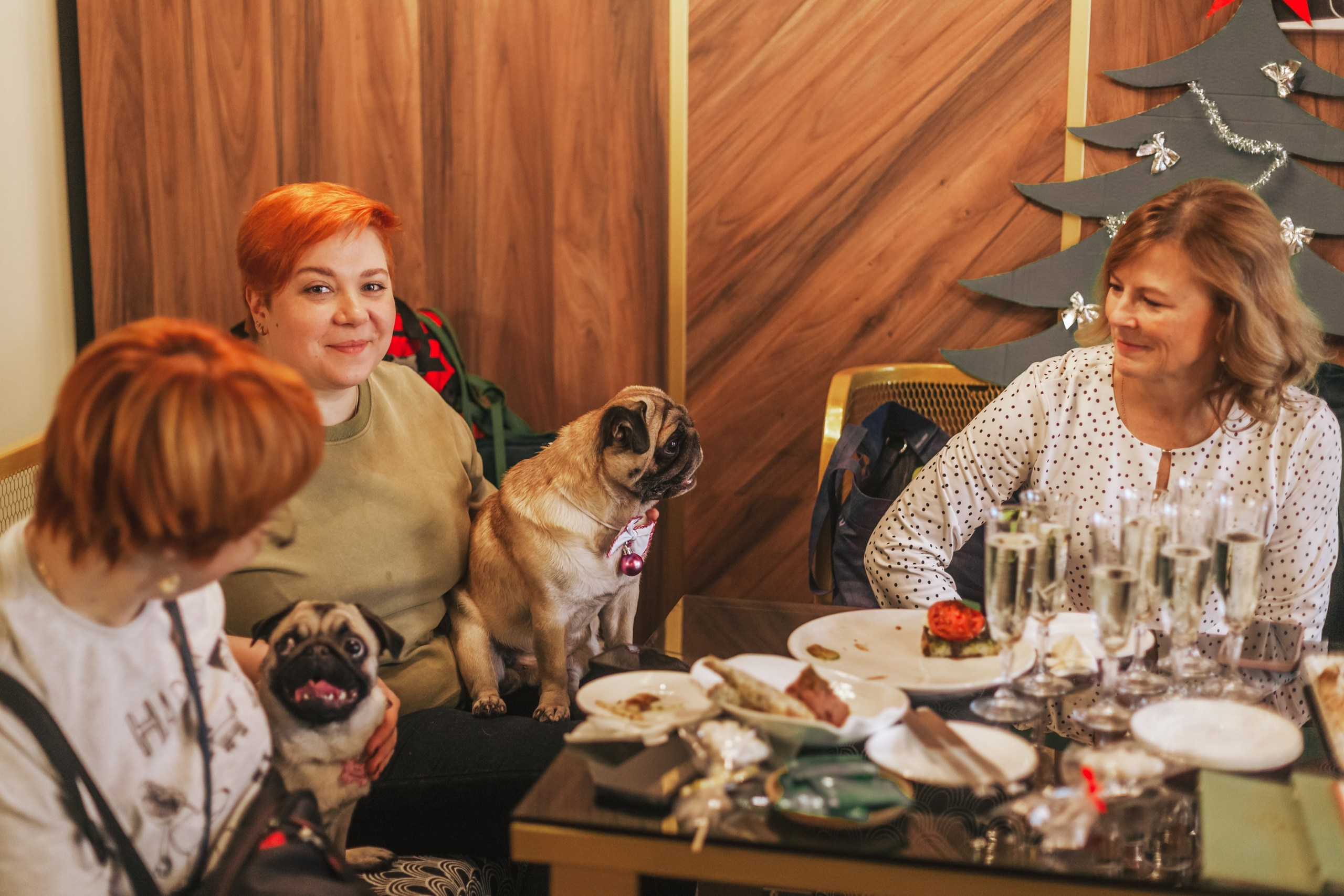 Мопсовстреча 02.12.2023. Фотограф-анималист Татьяна Степанова