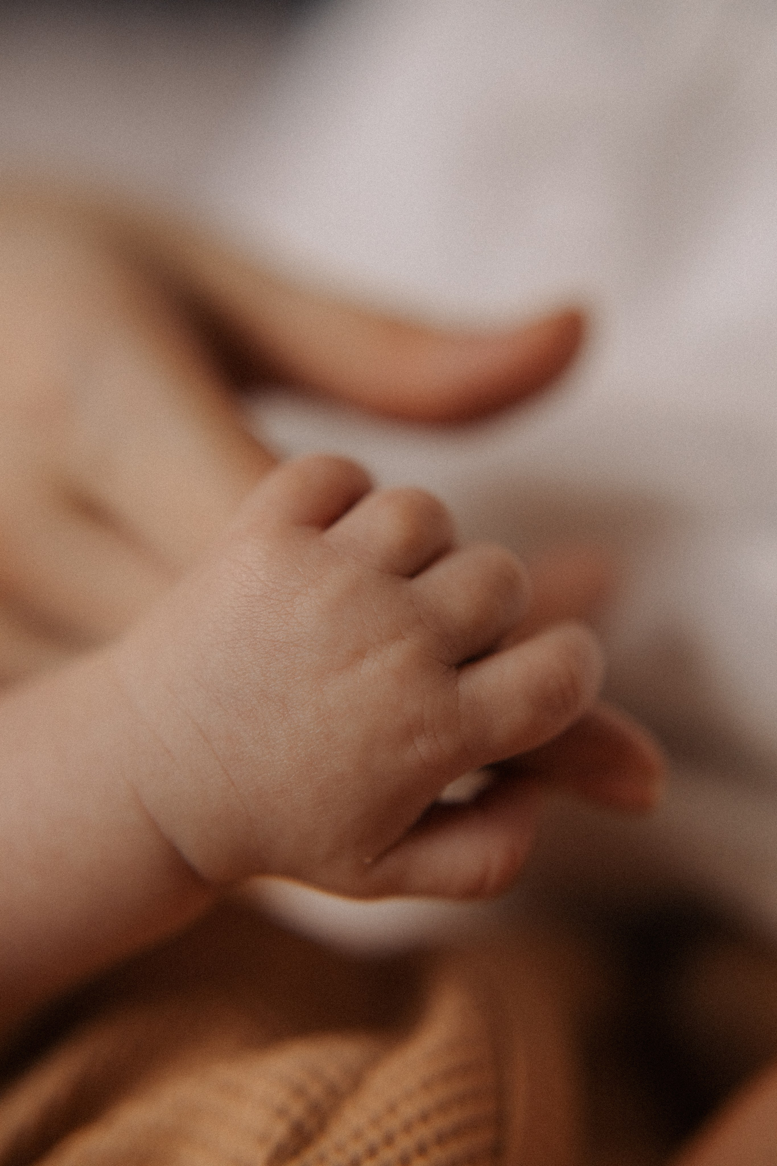 1 месяц. Семейный и детский фотограф в Санкт-Петербурге Авдошова Надежда