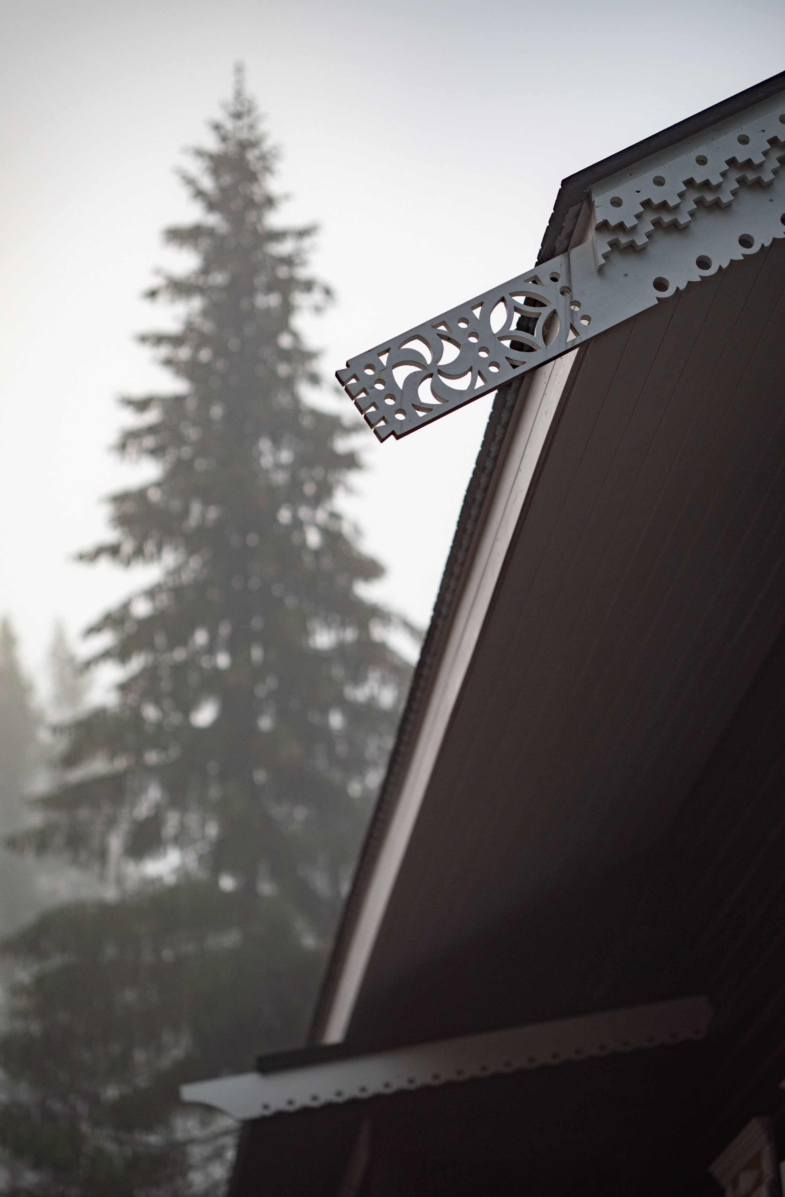 Осень на 85DFA*. Портретный фотограф Денис Милютин