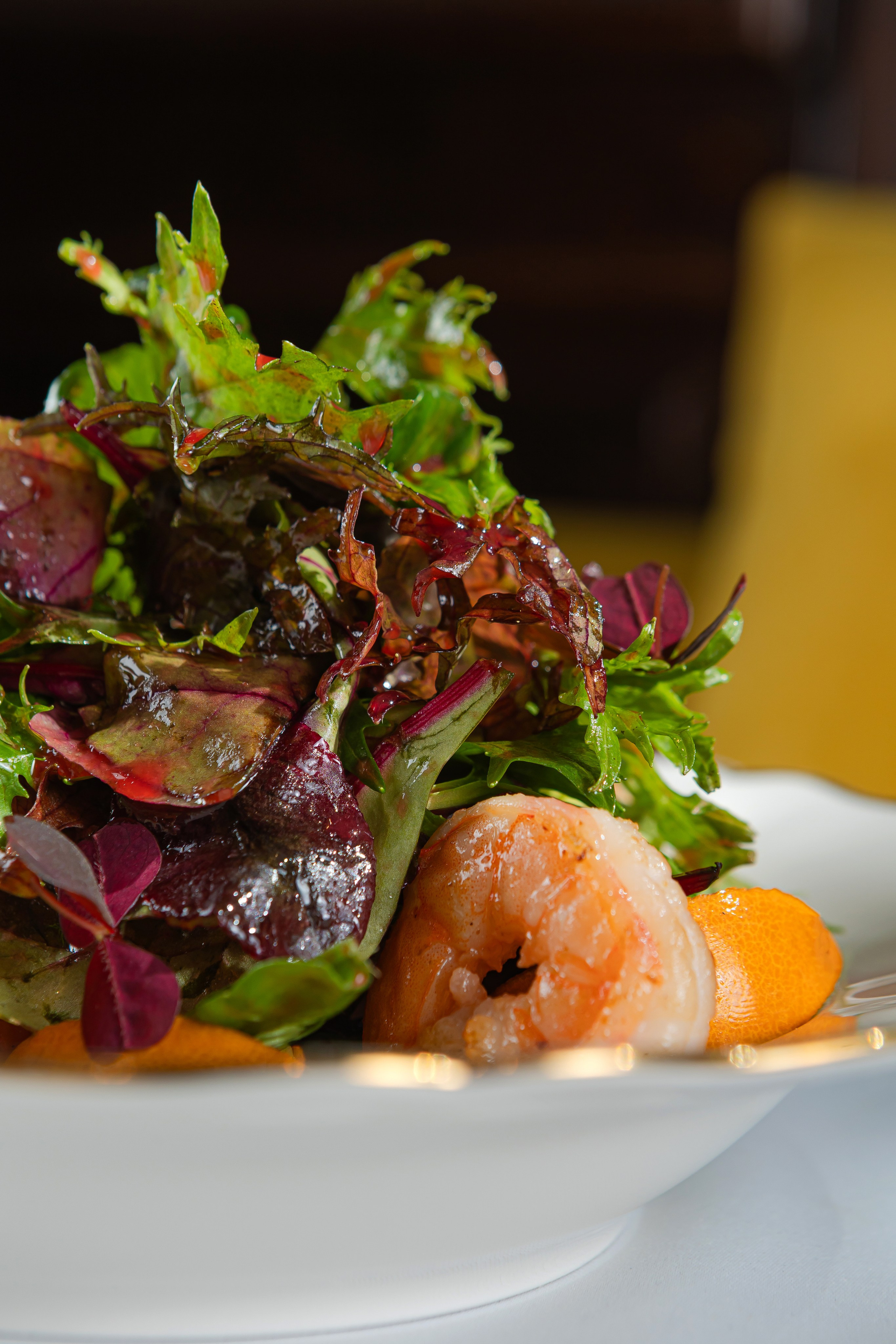 GUSSI. Фотограф Агеева Мария