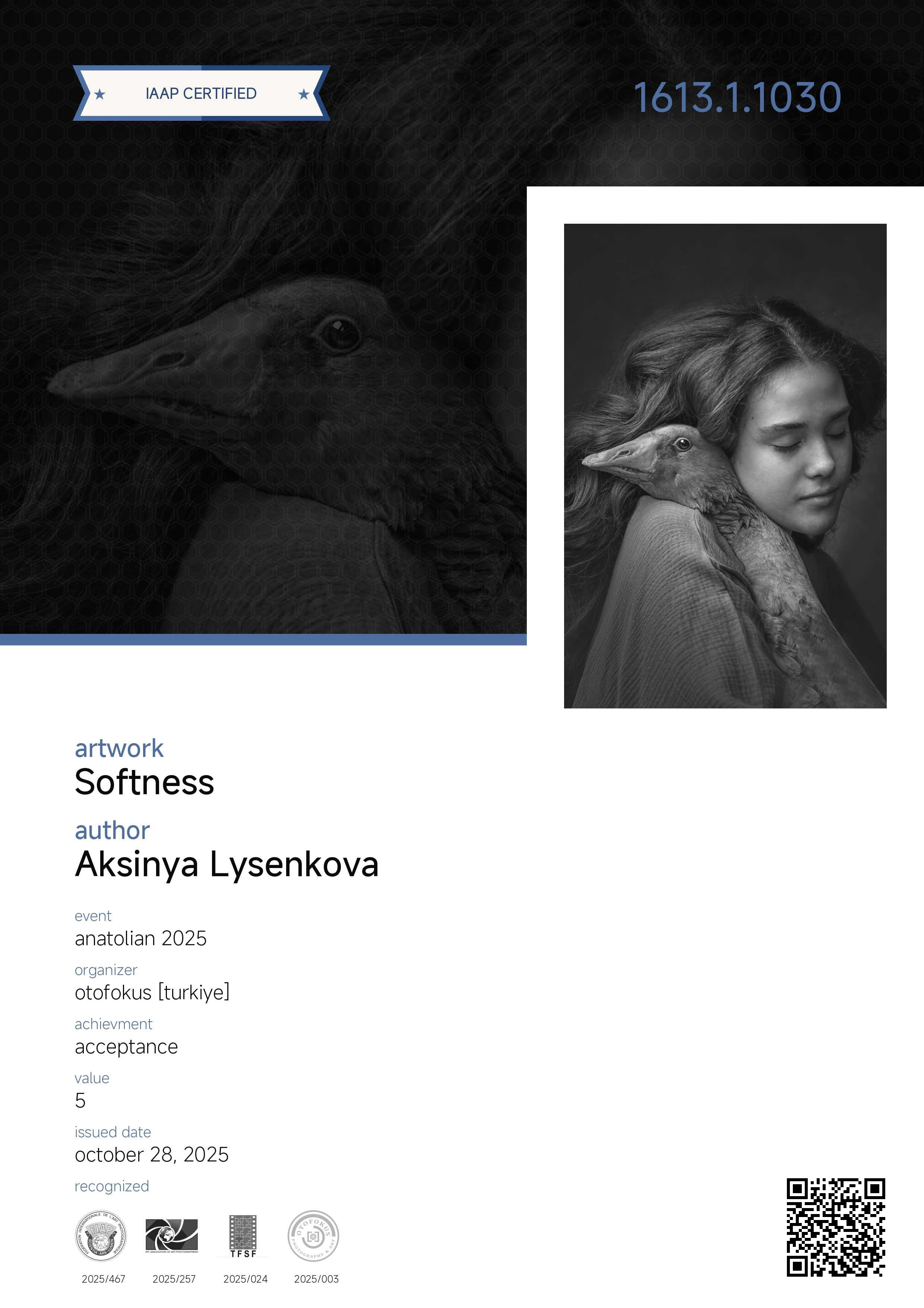 Дипломы. Детский, семейный фотограф в Ижевске и Москве Аксинья Лысенкова ADEN