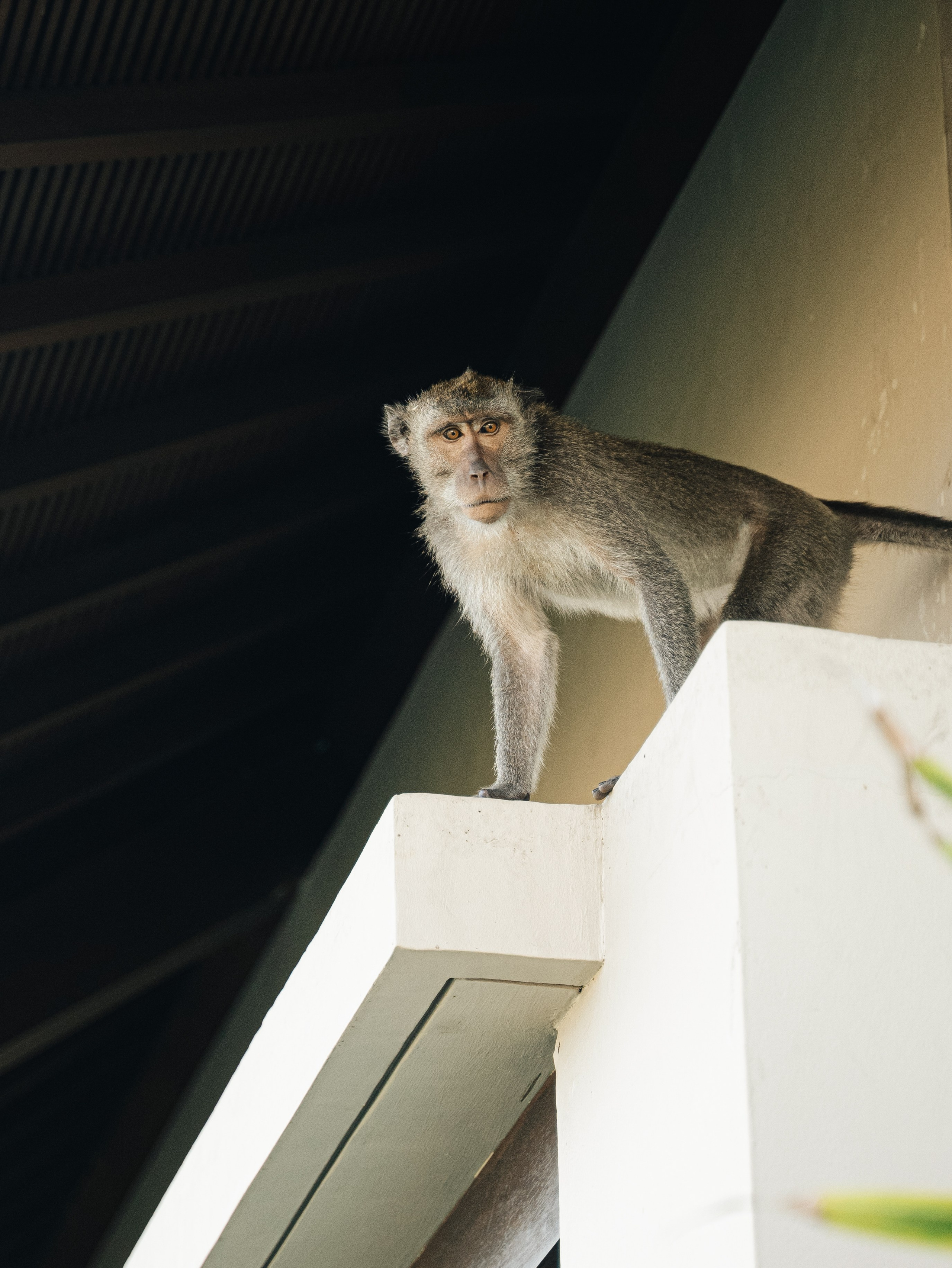 Свадебные съемки. Главная