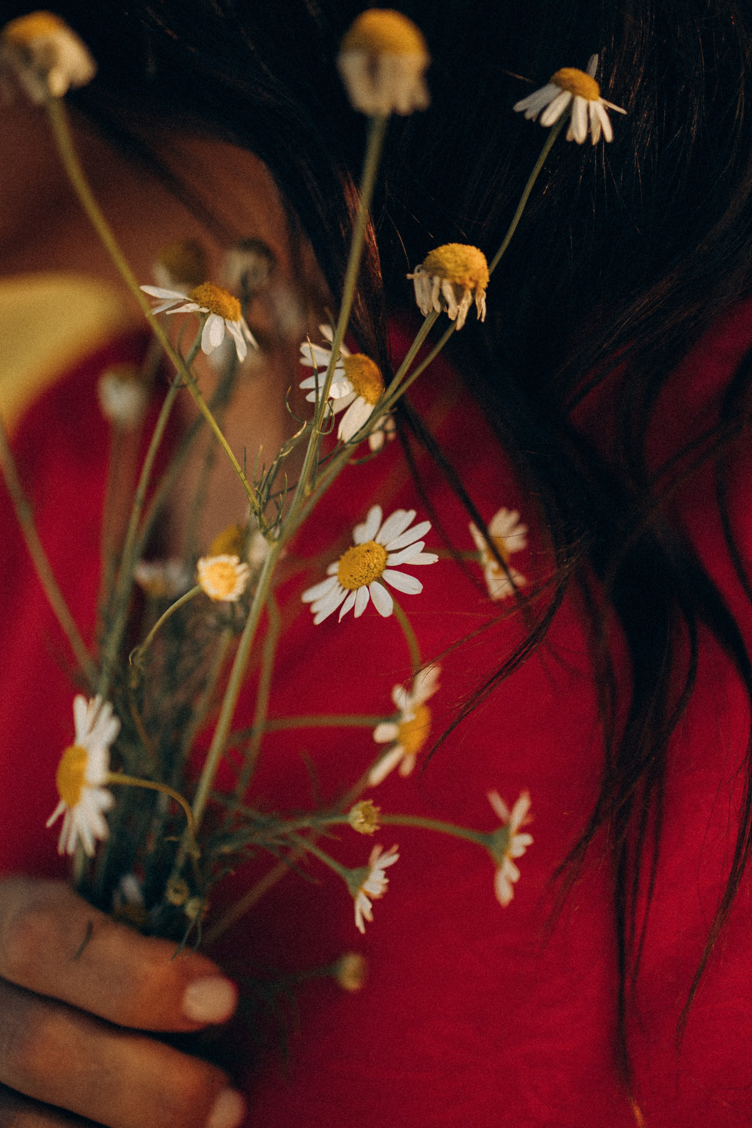 А в деревни лошади. Фотограф Москва Светлана Кирюшина