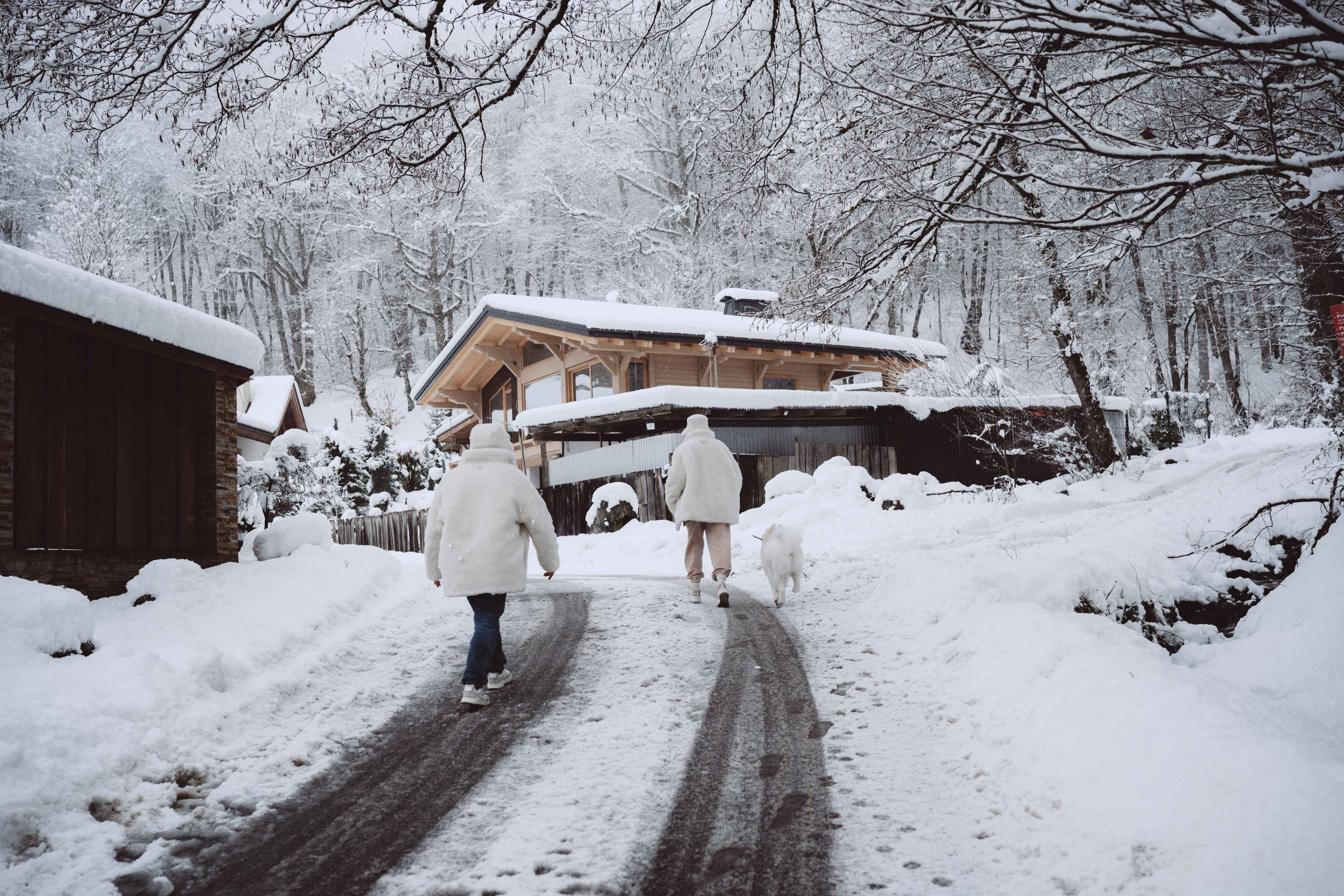 Антон, Дарья и Шани. Фотограф в Сочи Щетинина Анастасия