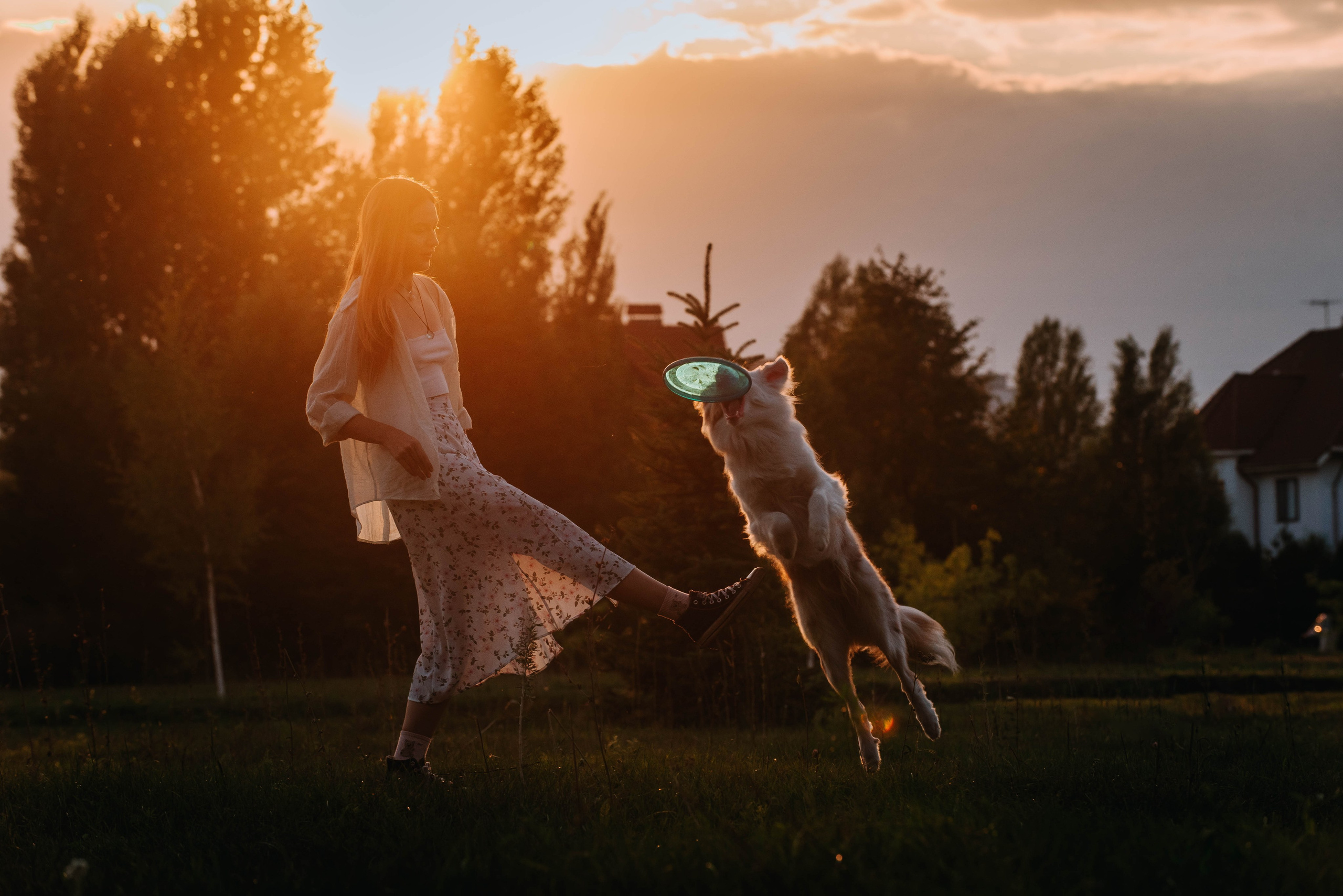 Лиза и Айви. Главная