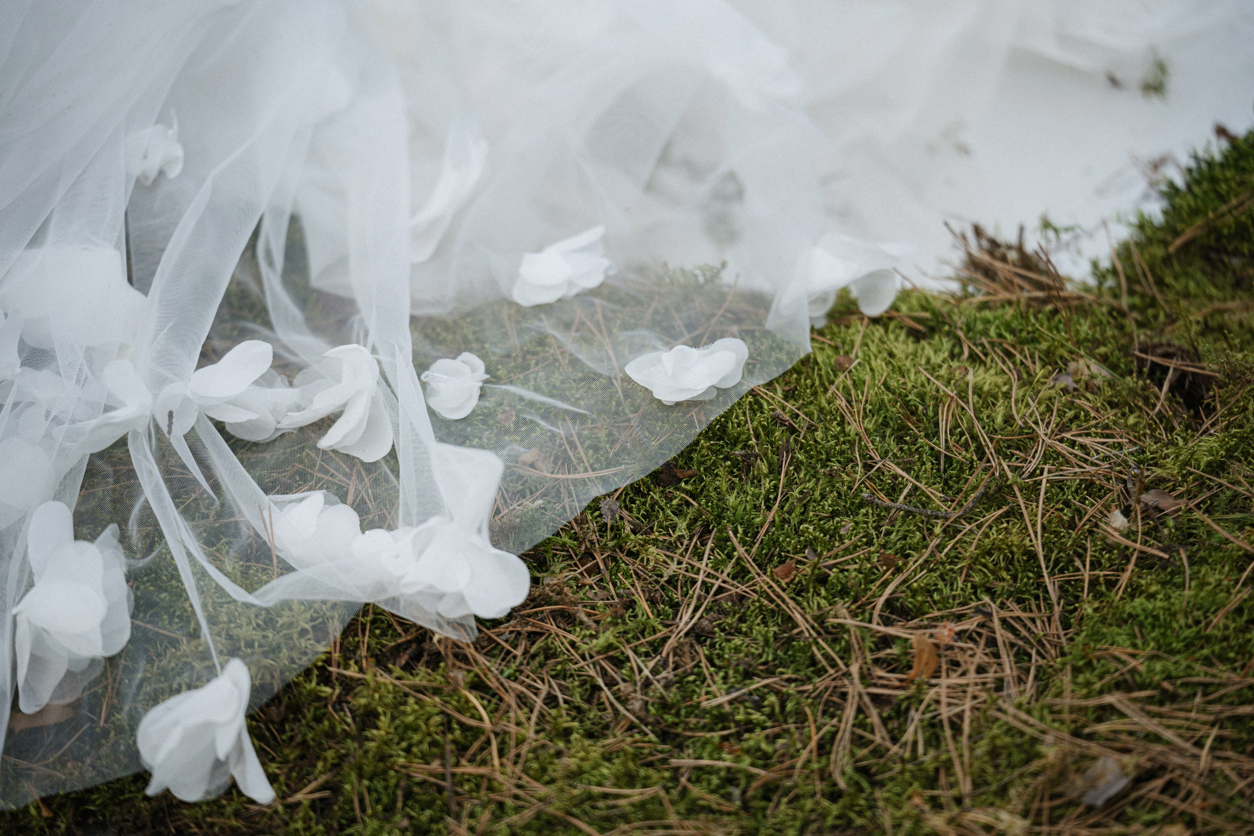 23/05/2025. Фотограф Томск, Новосибирск Влад Свириденко