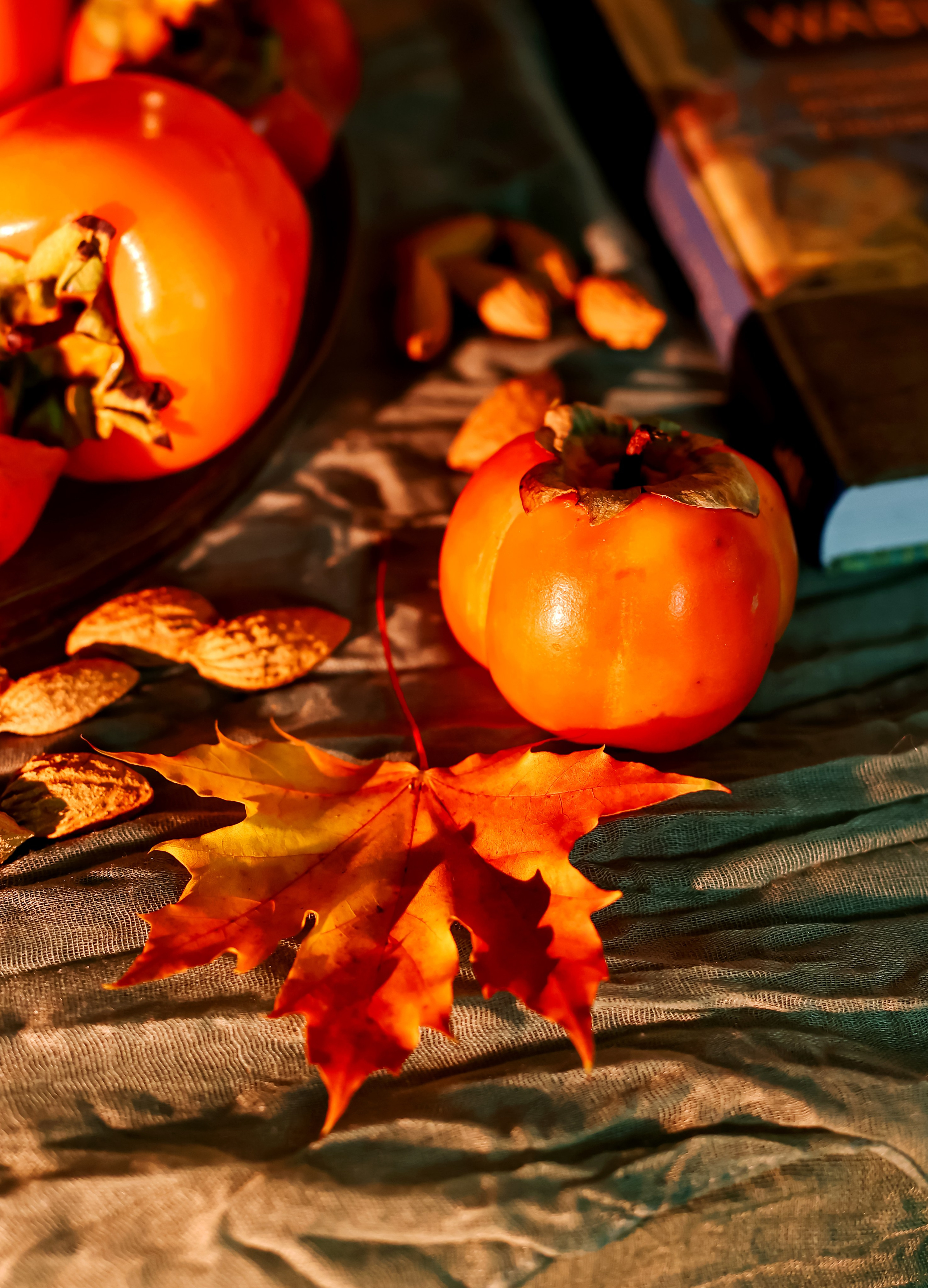 Предметная съемка, цветы, открытки. Фотограф — Татьяна Кириллова, г. Санкт-Петербург