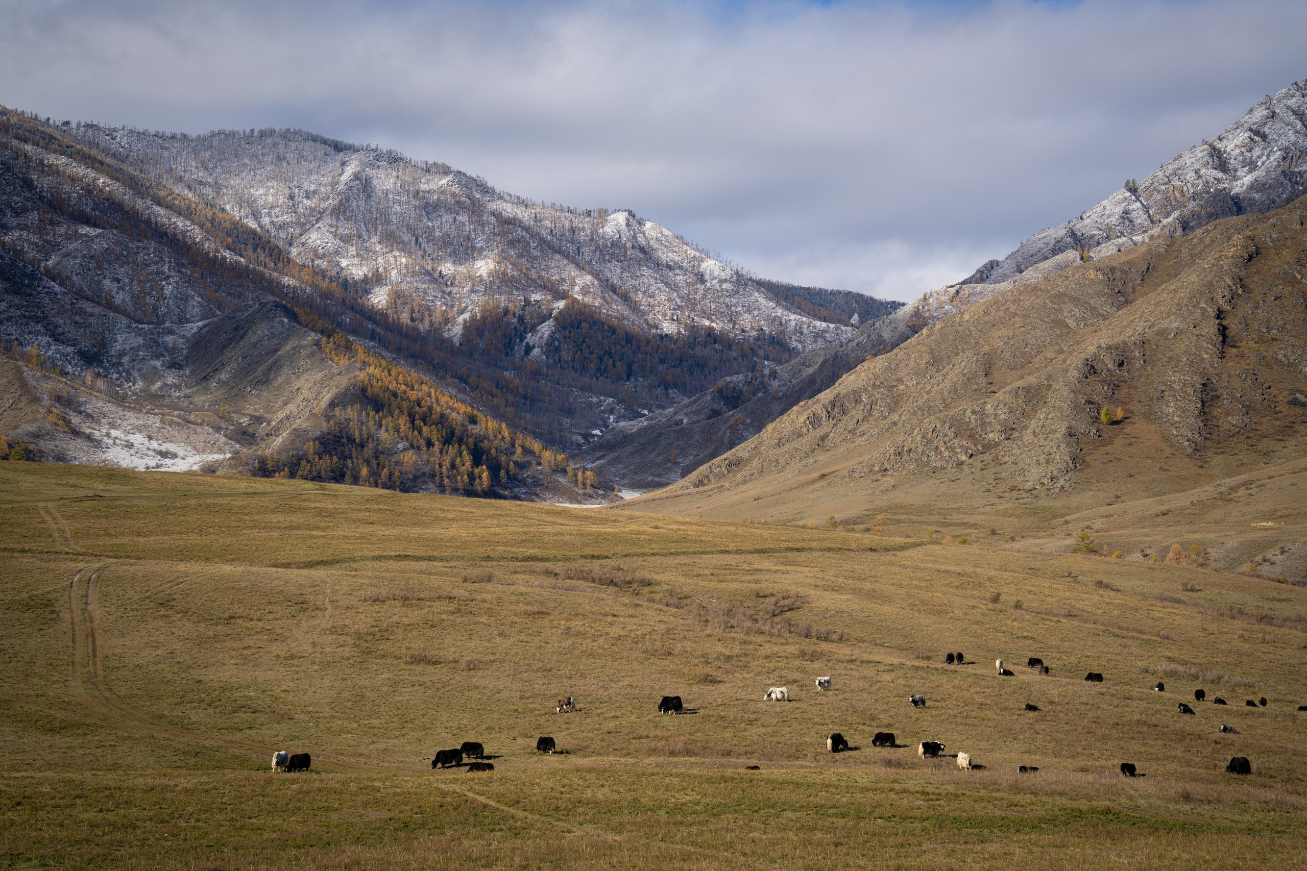 Чуйский тракт. Фотографии Тиграна Худавердяна