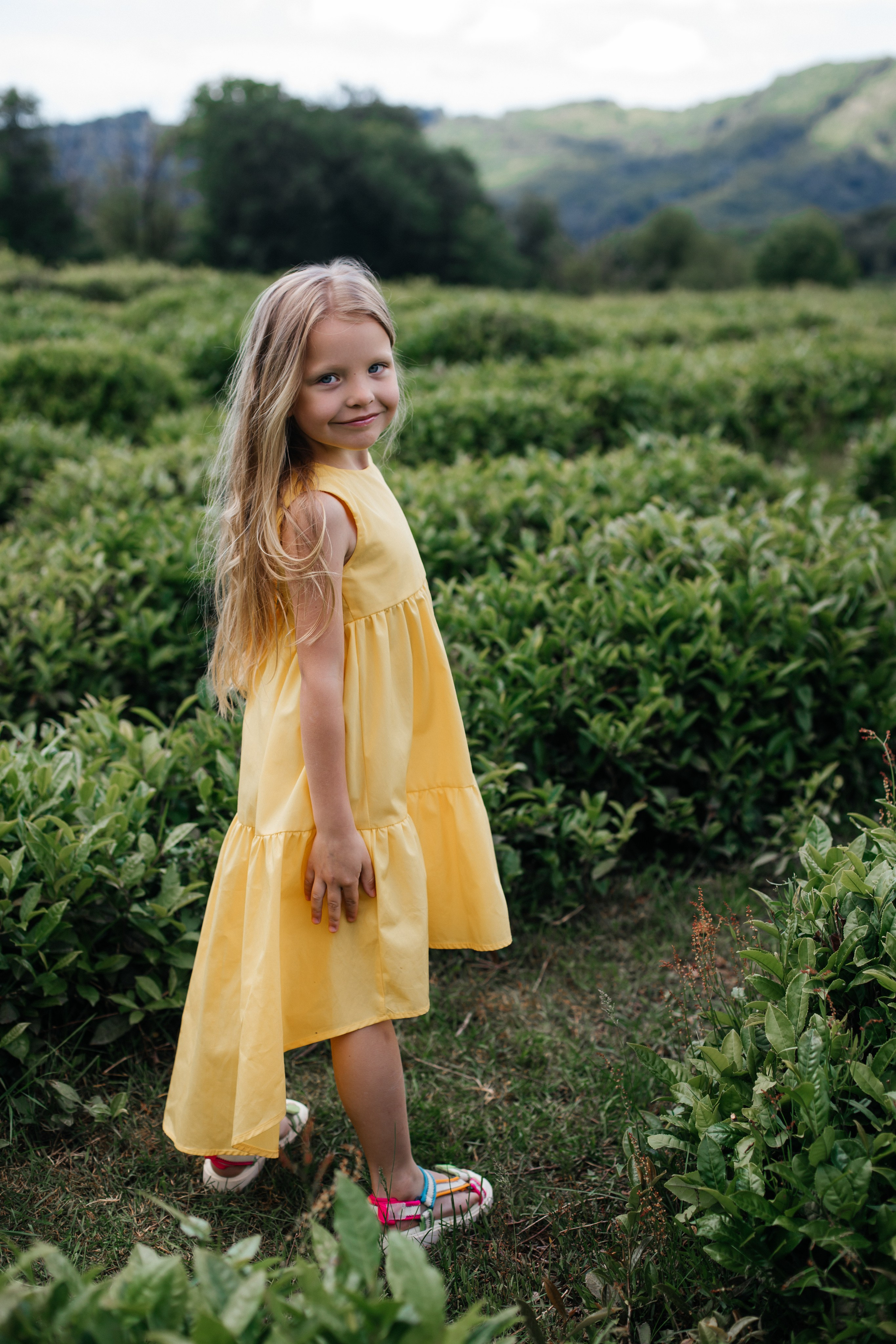 Tea plantation. Efimova Model Agency