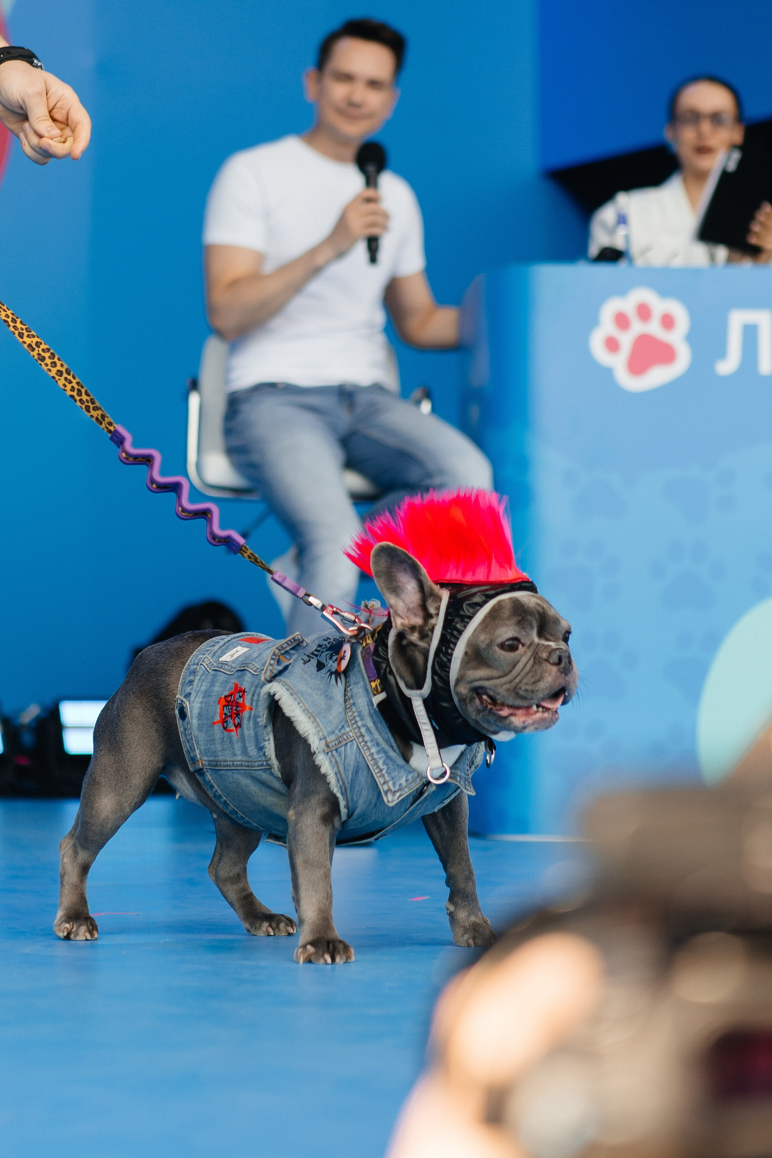 ФЕСТИВАЛЬ VK «ЛАПКИ» | 2025, МОСКВА. Five Media — репортажный фотограф Москва | Мск