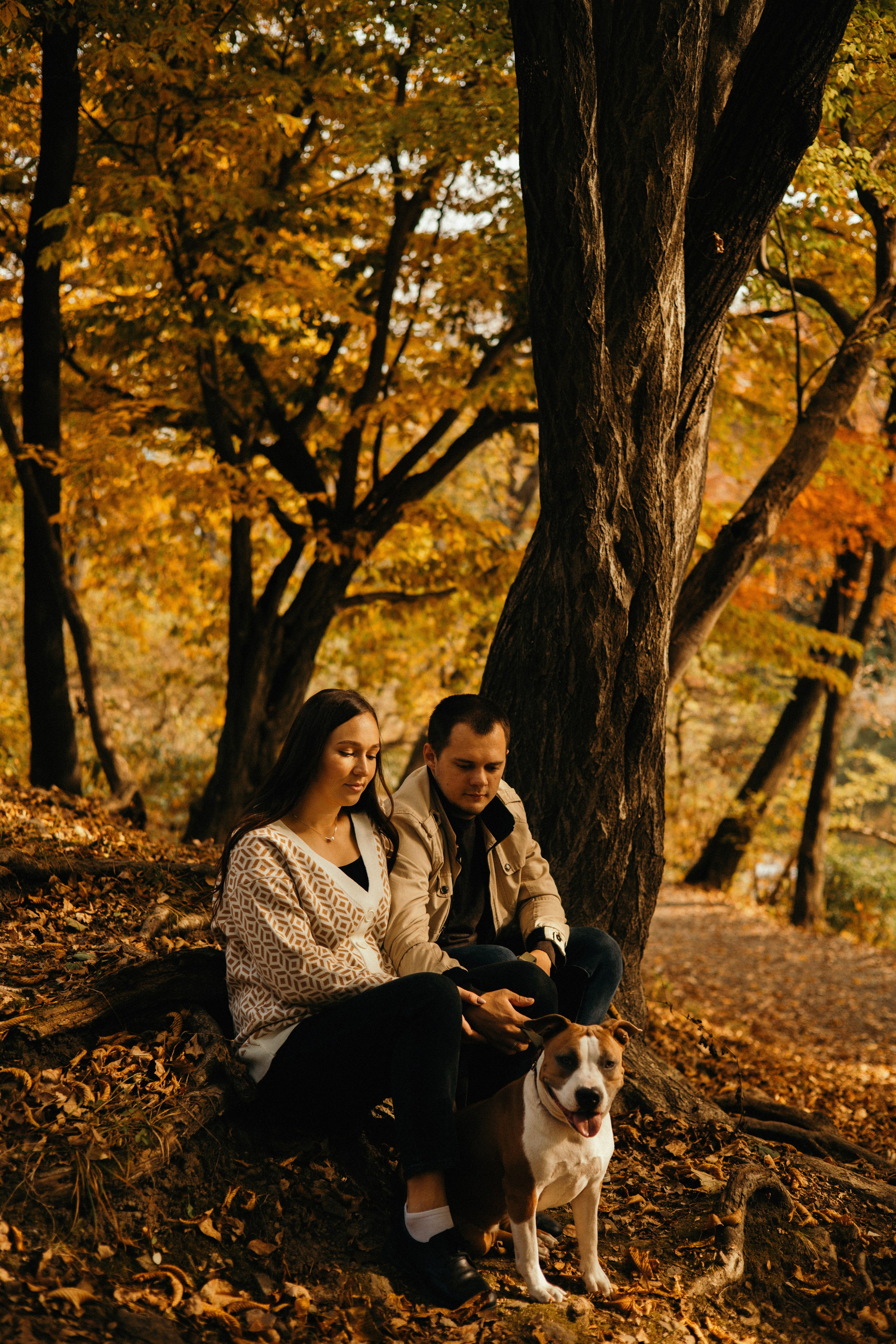 Лаффи и ее семья. Фотограф — анималист Владивосток, Алина