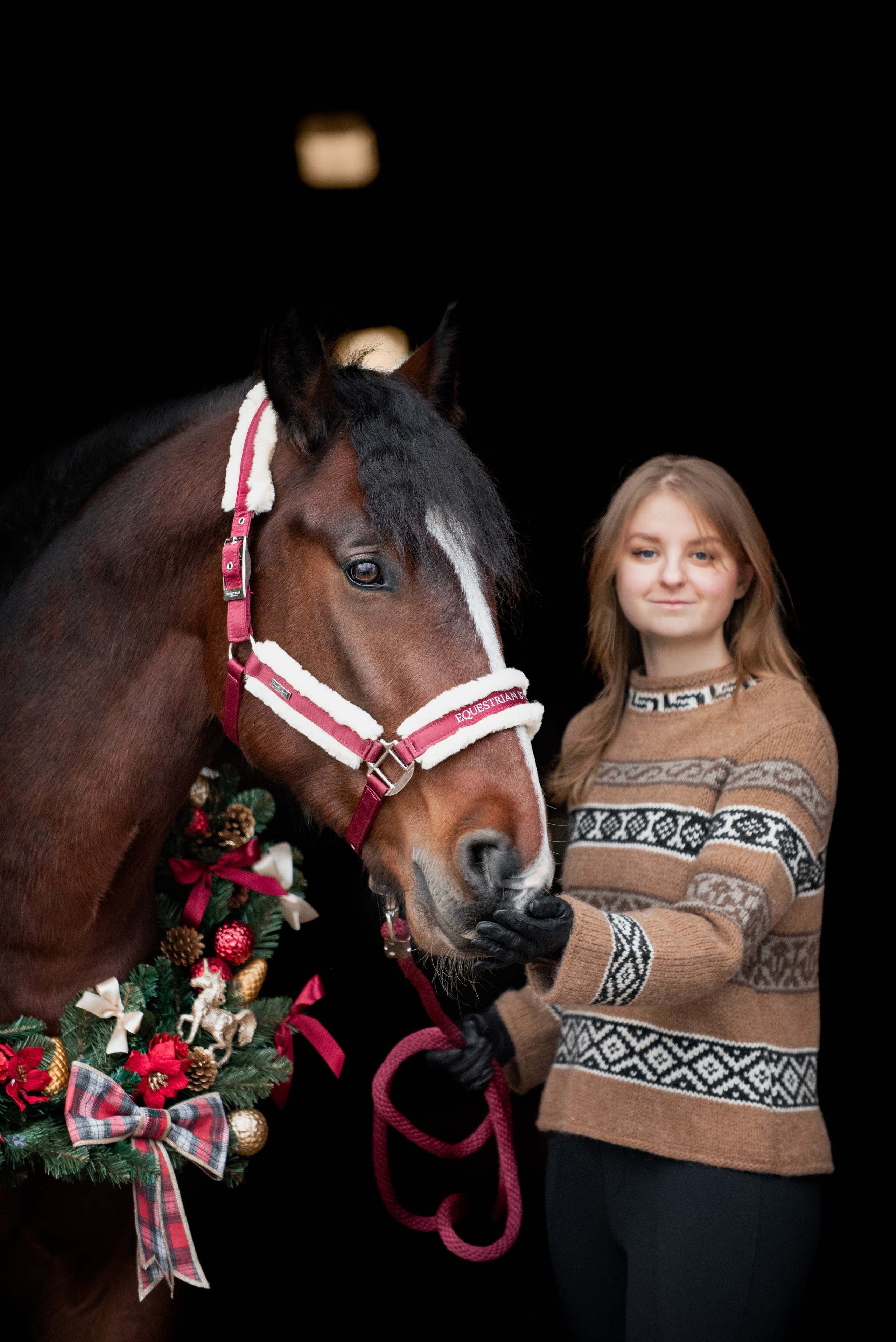 Зимний Настасьин табун. Куракина Дарья • Конный фотограф