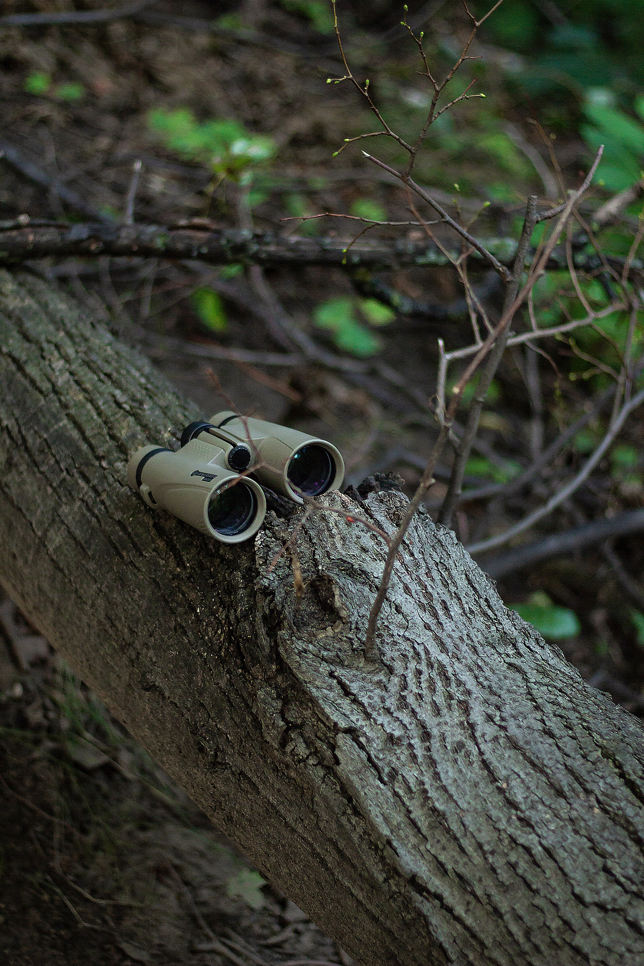 Предметная фотография для маркетплейсов и соцсетей. Предметный фотограф в Москве и Московской области