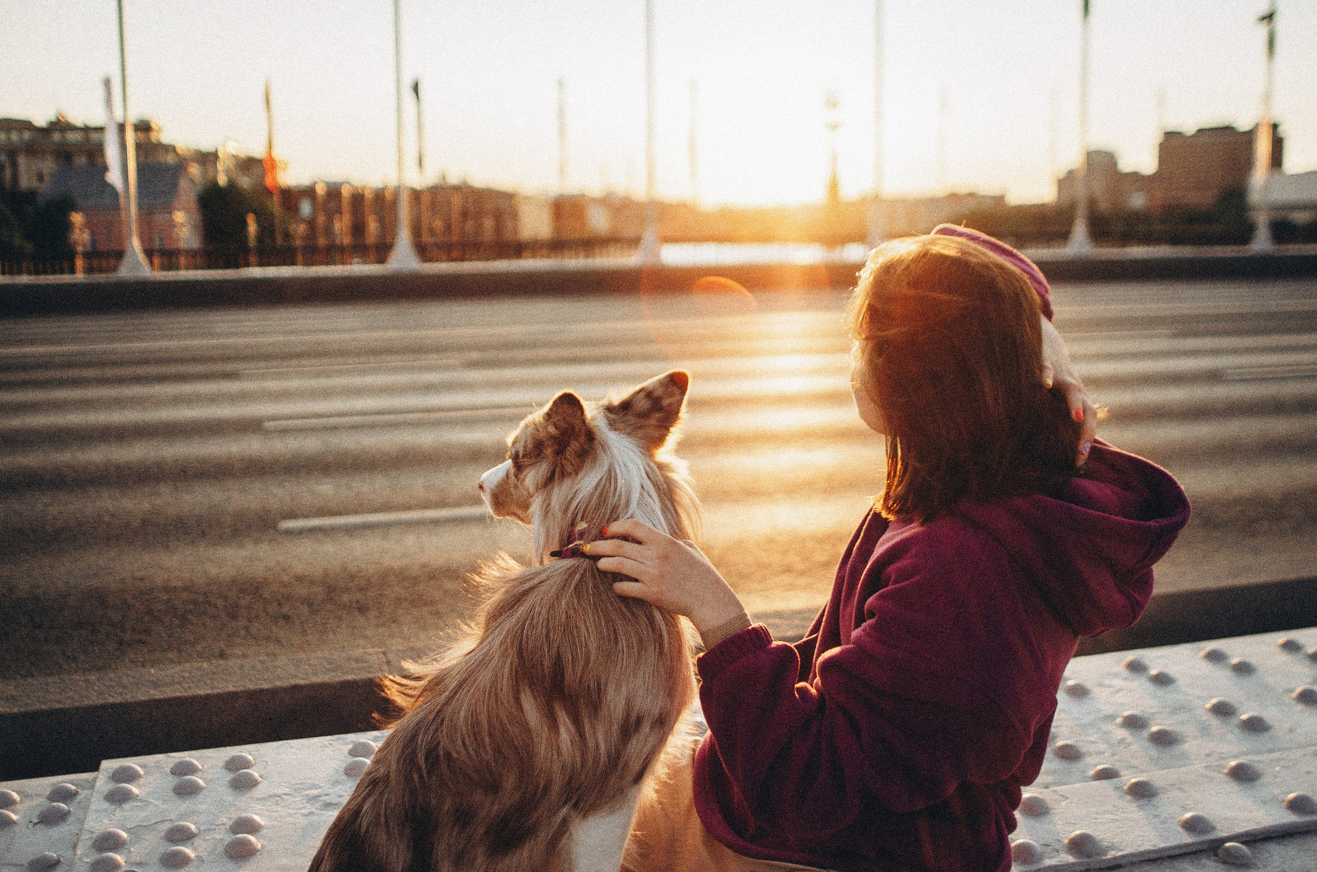 Аня и Дэймон. Фотограф-анималист Богданова Полина