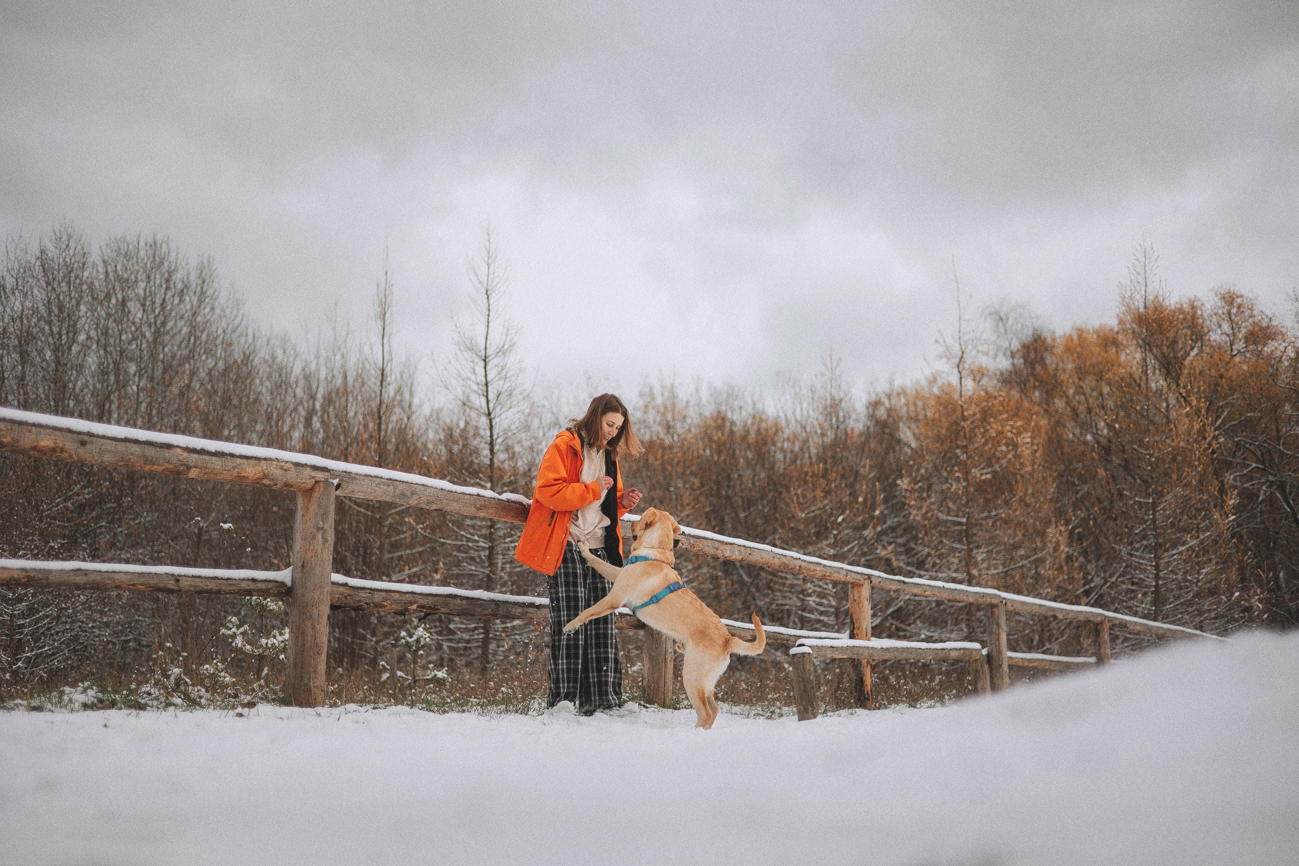 Маргарита и Варди. Фотограф-анималист Богданова Полина