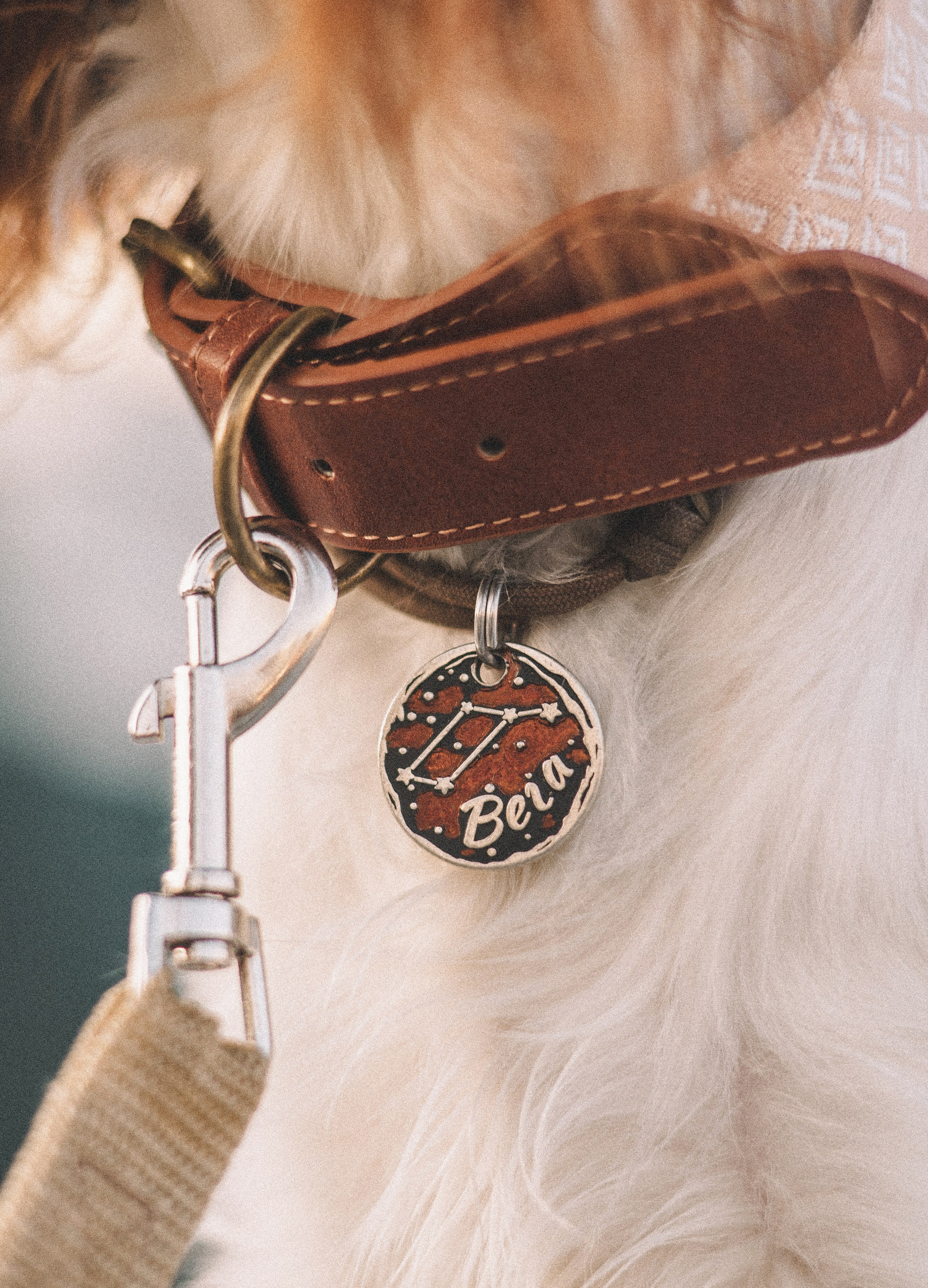 Маша и Вега. Фотограф-анималист Богданова Полина