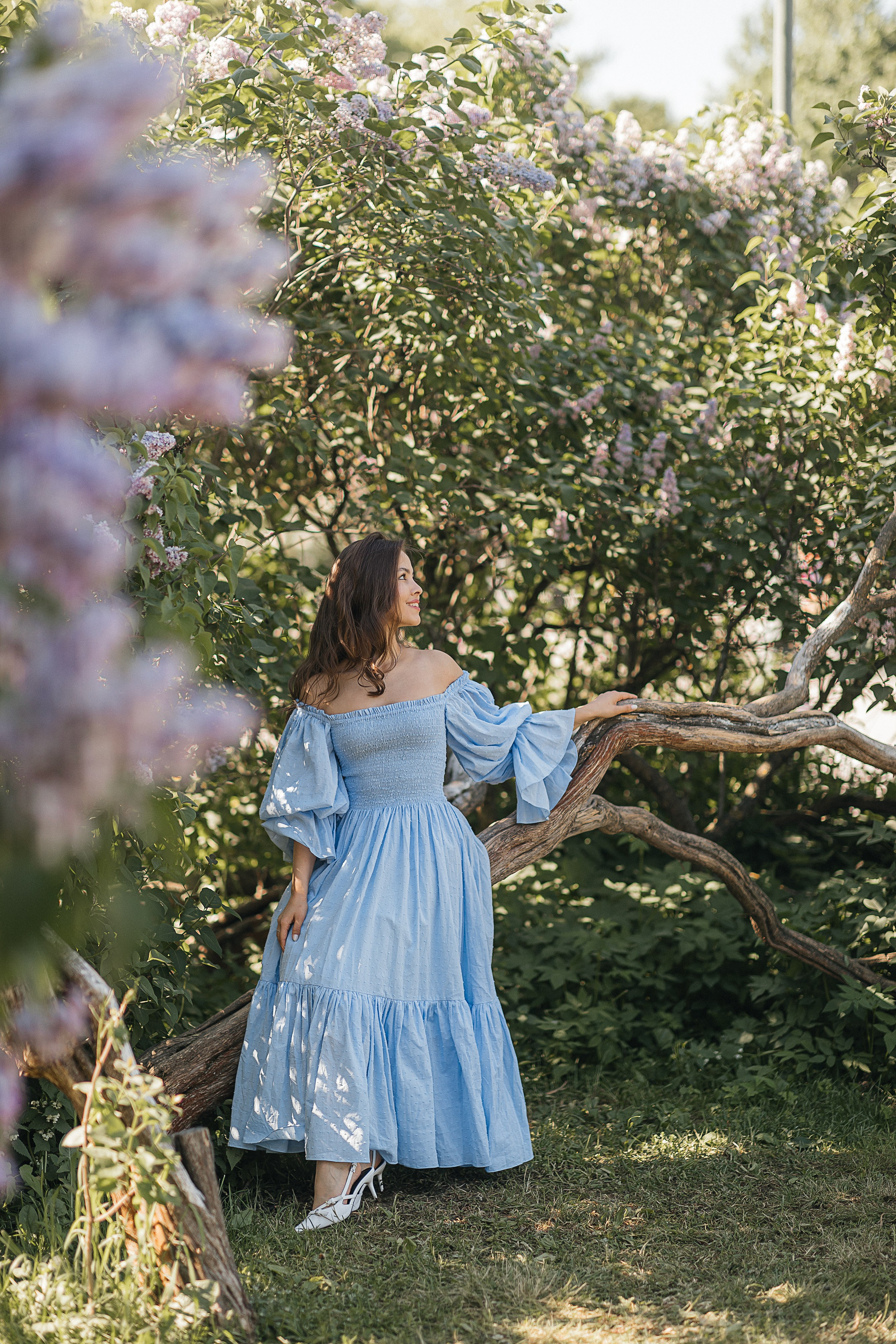 Сирень Азиза. Фотограф Москва