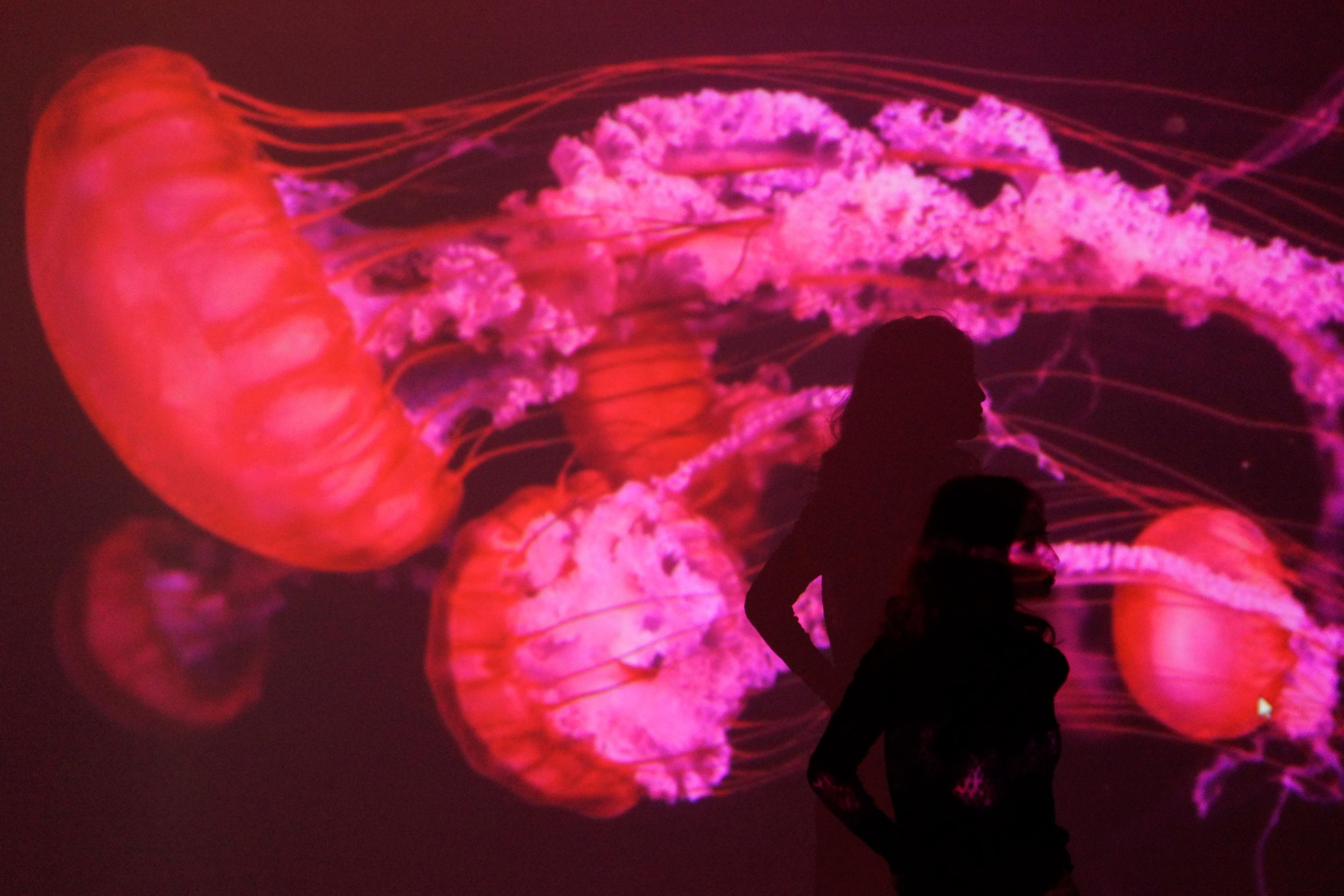 Съемка с проектором. Maria Karzhak ваш фотограф в Батуми!