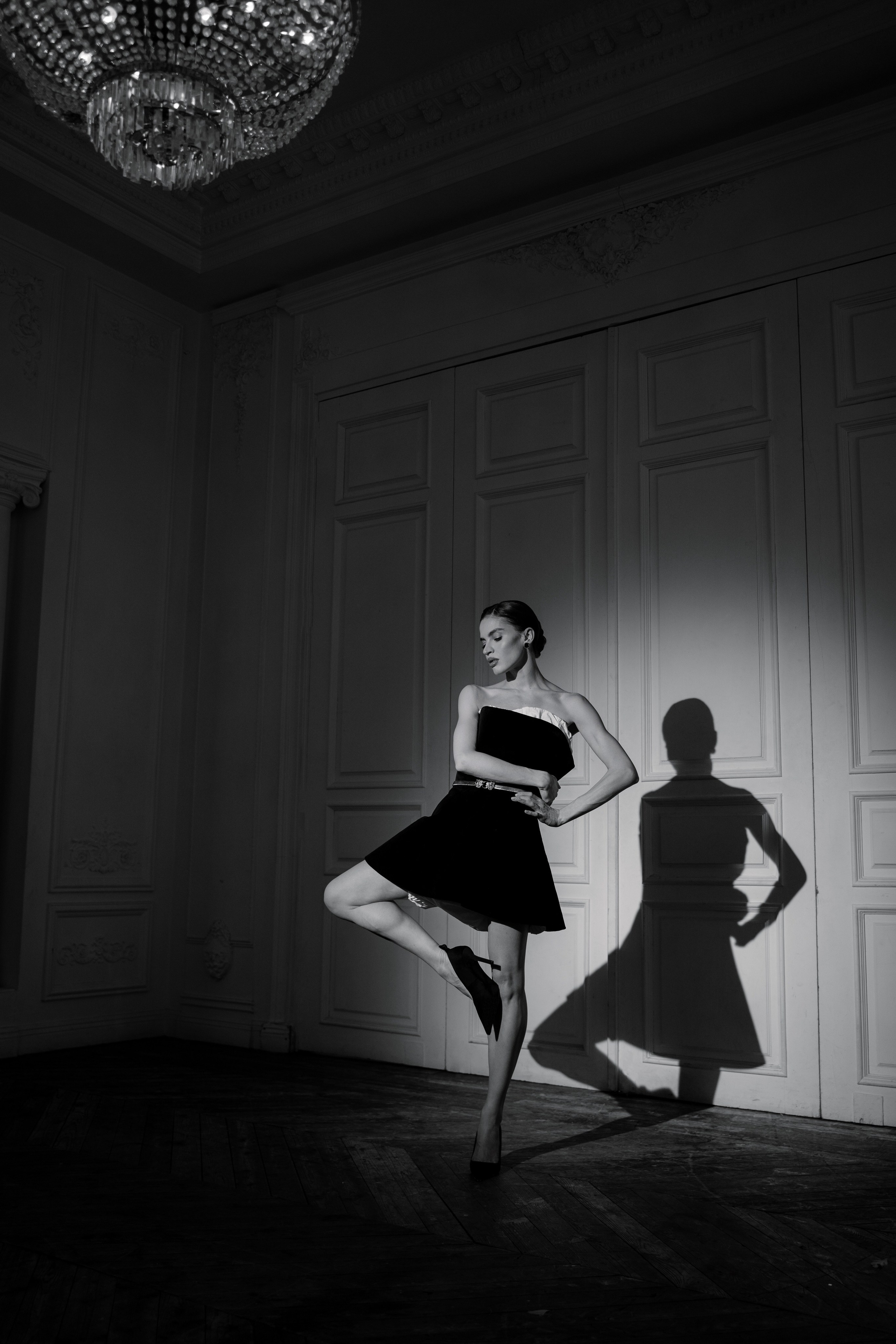 Белый лебедь. Портретный фотограф в Москве