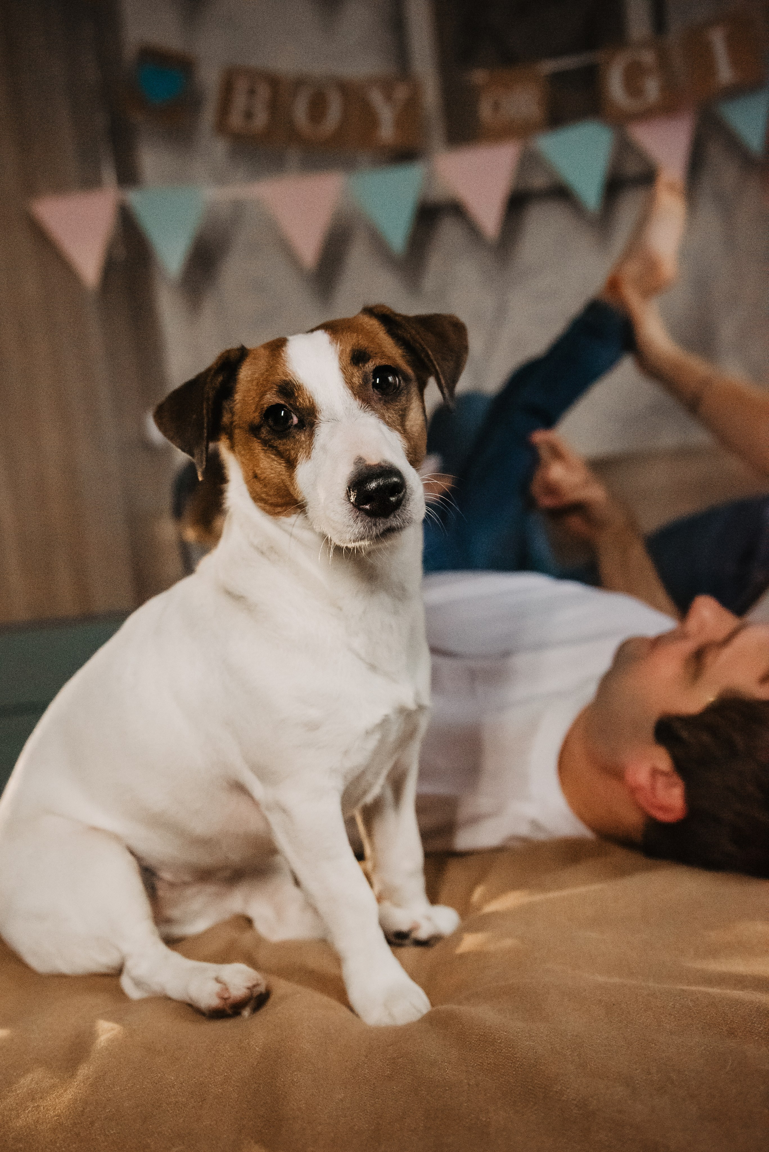 Братик или сестричка?. Семейный Фотограф в Москве Ирина Хохлова