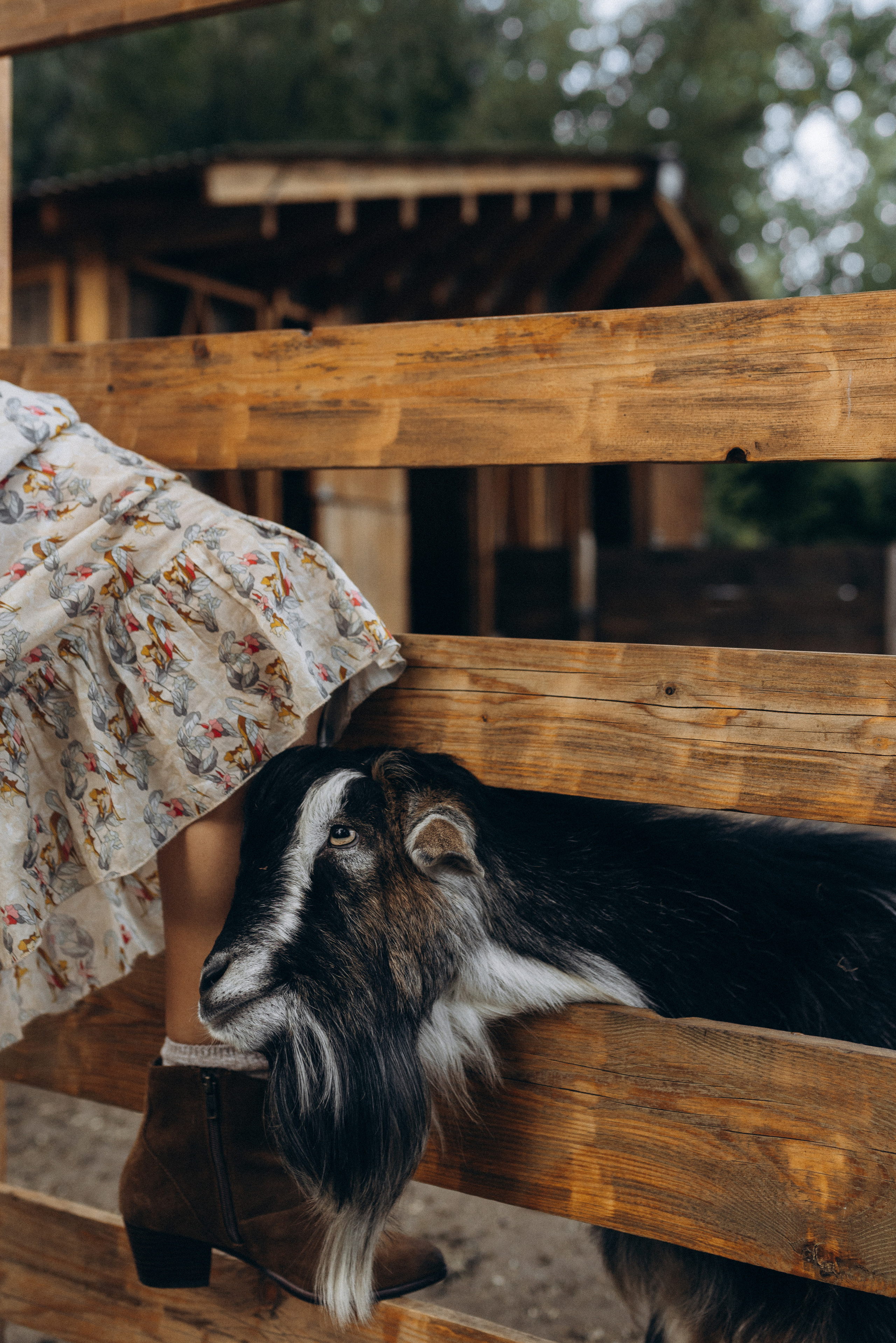 Таня и Тоня. Семейный фотограф в Москве Алина Сергеева