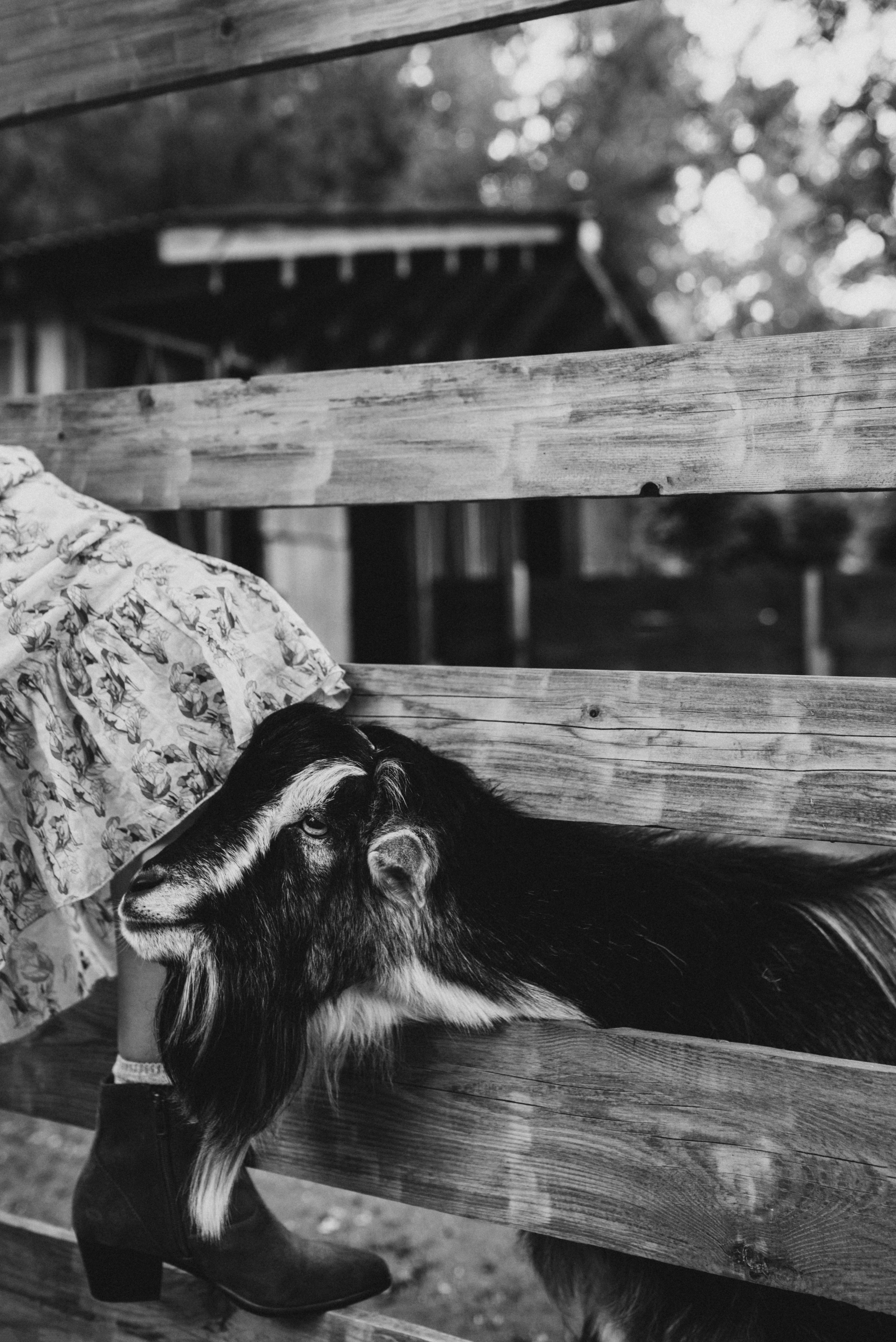 Таня и Тоня. Семейный фотограф в Москве Алина Сергеева