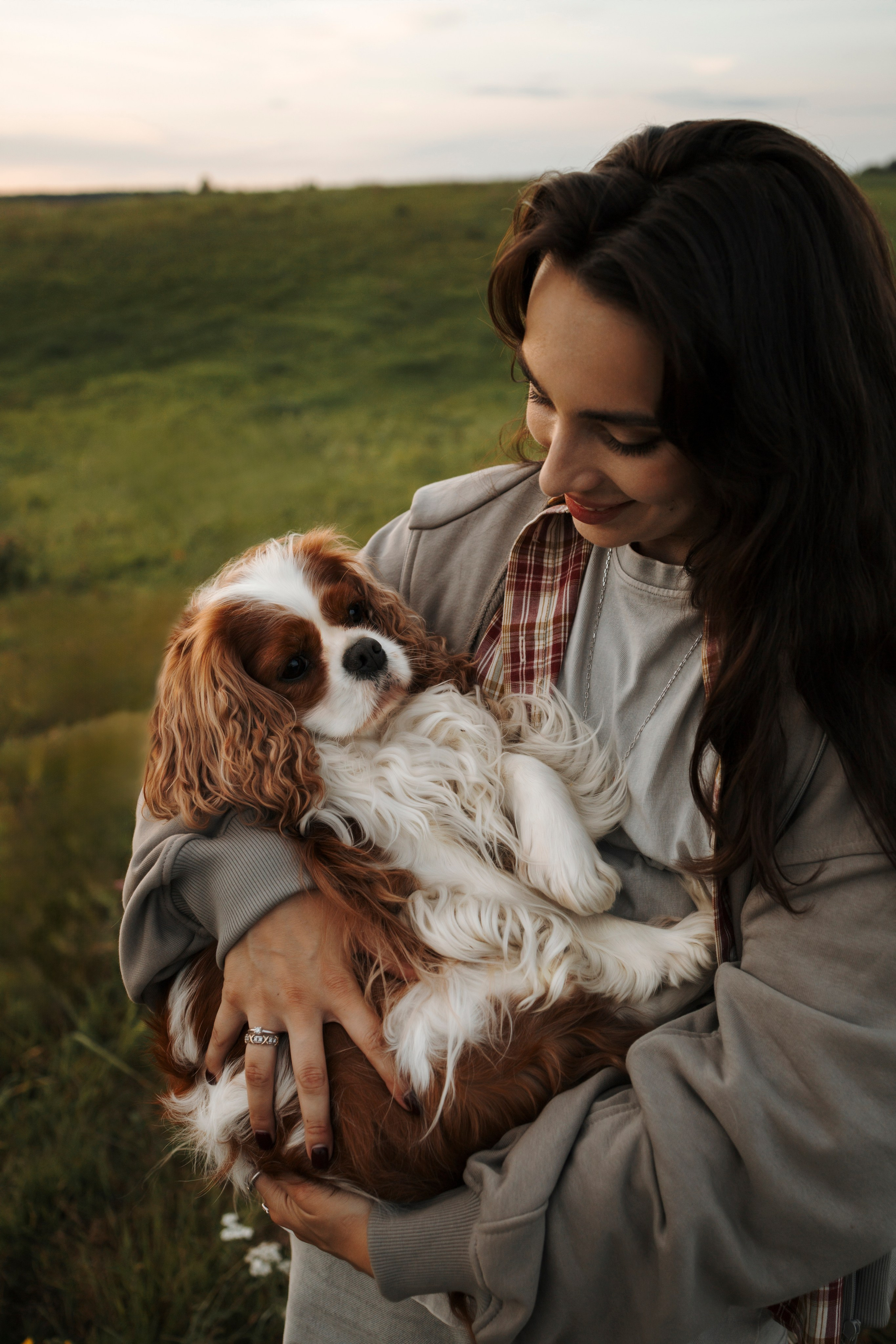 На закате Катерина, Луна и Рикки. Фотограф-анималист в Санкт-Петеребурге Титова Алиса