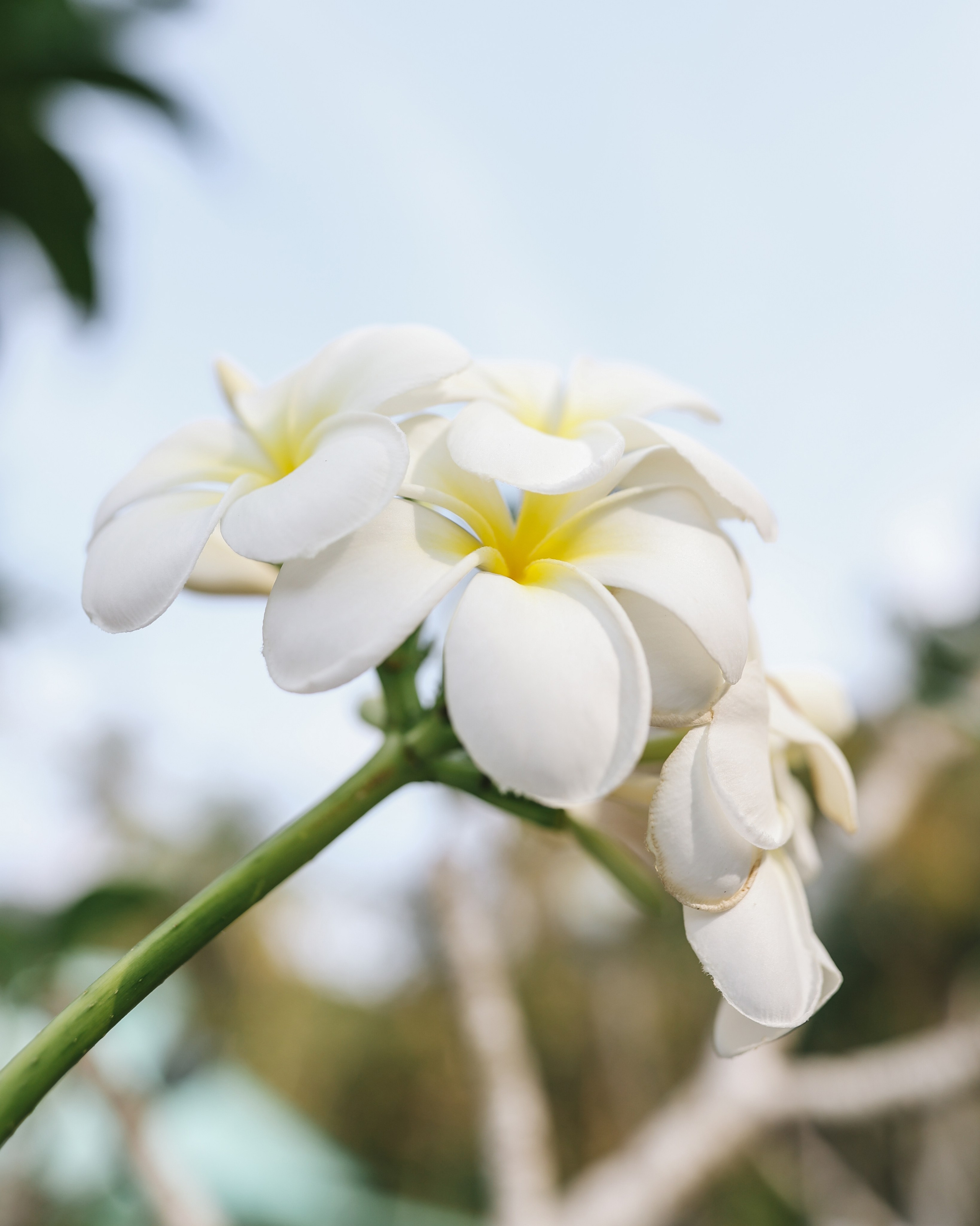Thailand / Ban Sainai Resort. Ekaterina Buneeva Photography