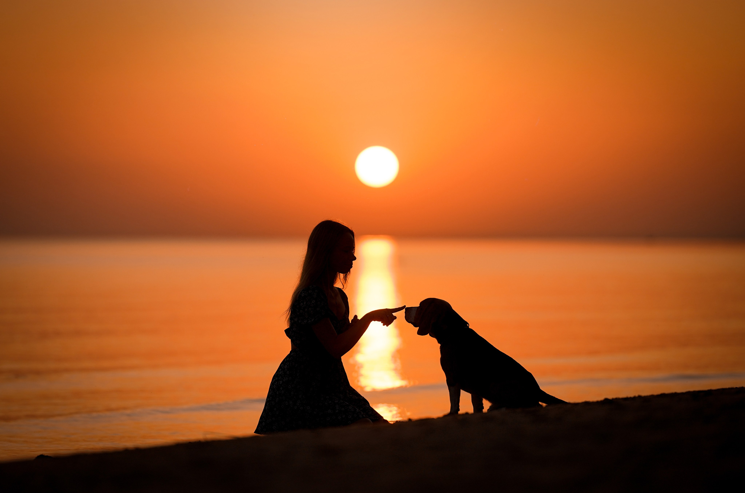 Оля Леша и Ричард. Фотограф-анималист в Санкт-Петербурге Яна Мартынова