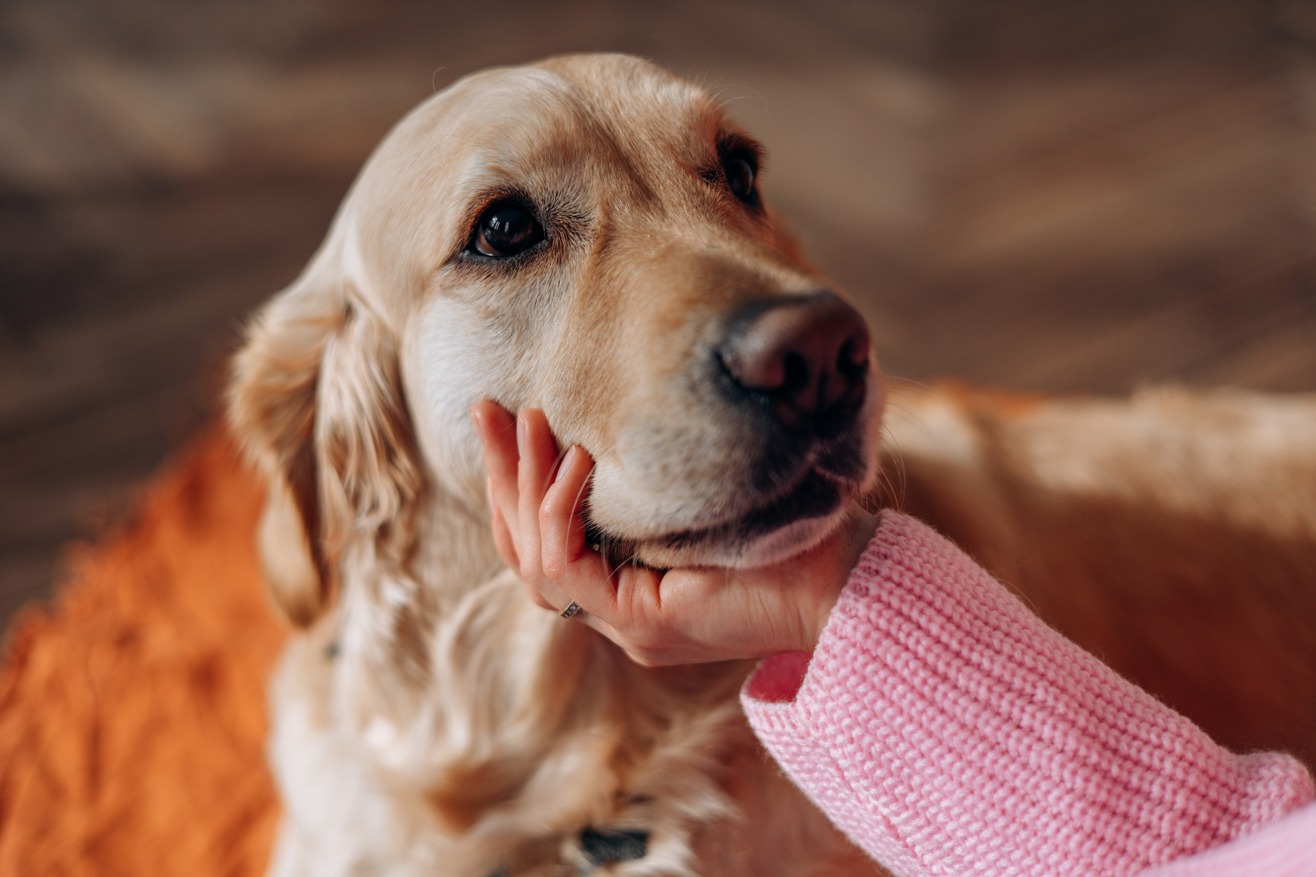 Марина и Чили. Фотограф — Анималист | Санкт-Петербург