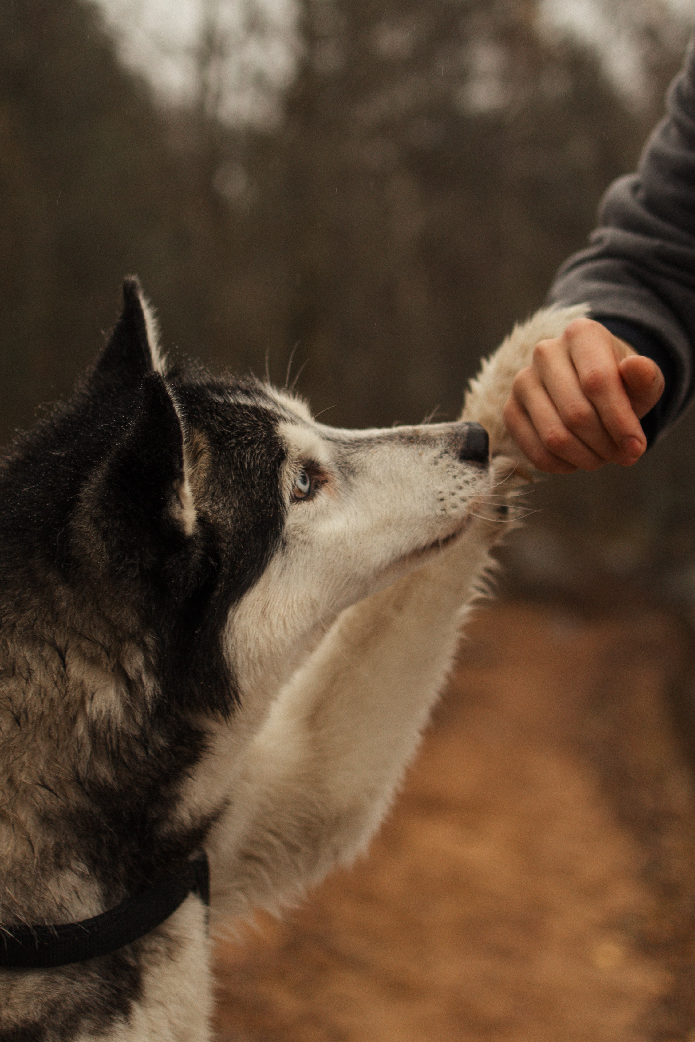 Лена, Глеб, Ральф и Рэй. Фотограф в Выборге и Санкт-Петербурге Маша Гуляева