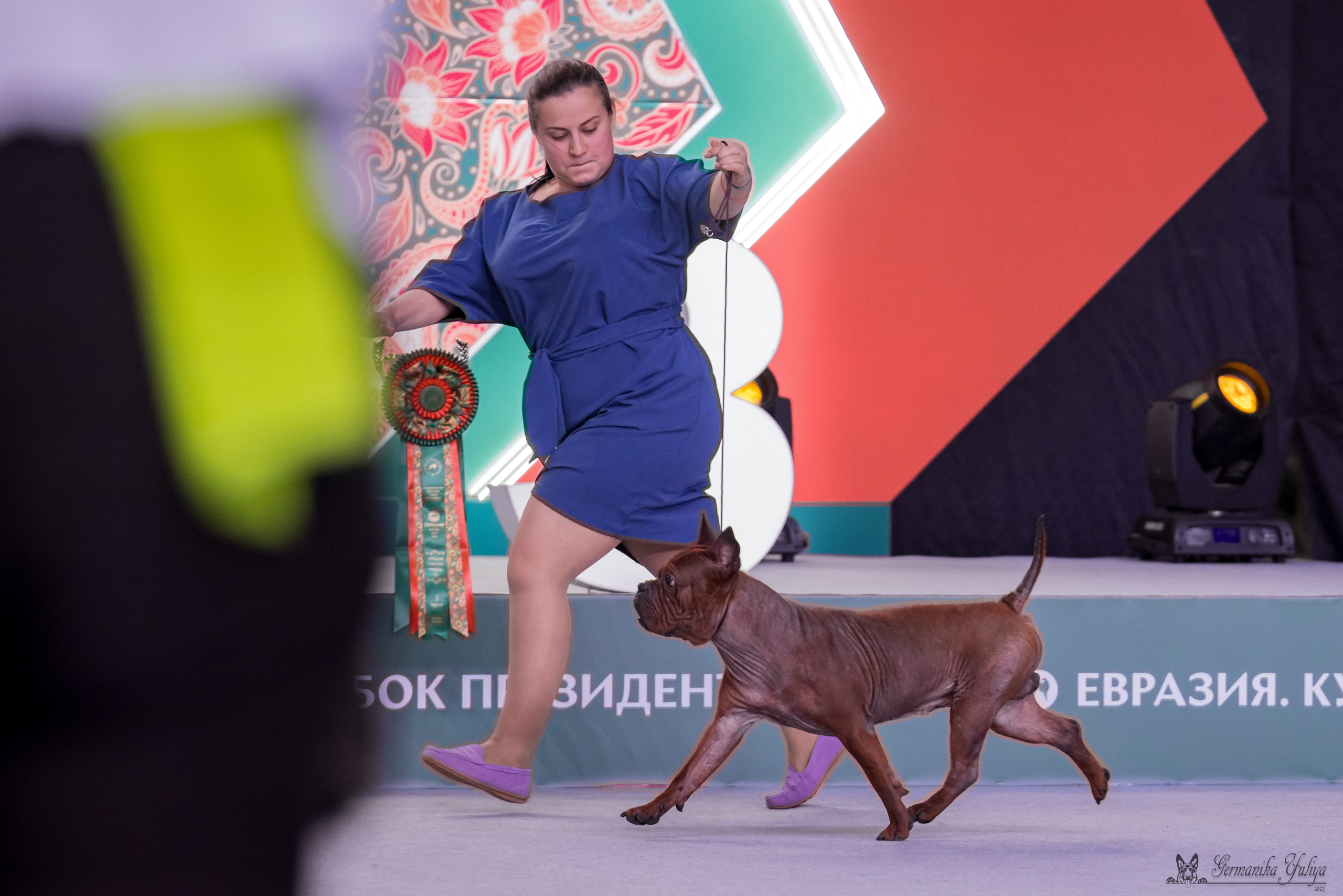 ЕВРАЗИЯ 18-19.11.2023. Фотограф-анималист Юлия Германика