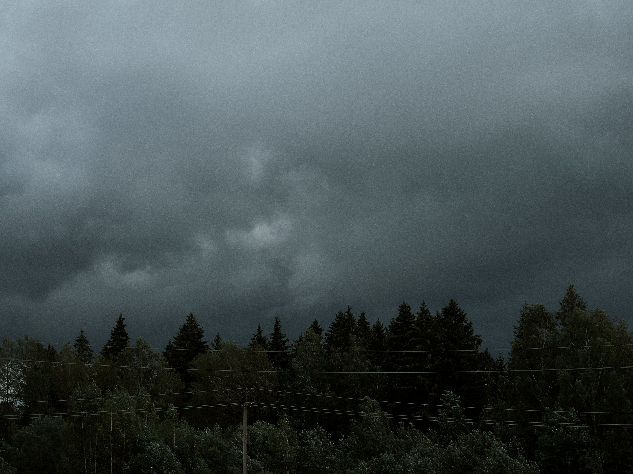 Street. Портретный фотограф в Москве