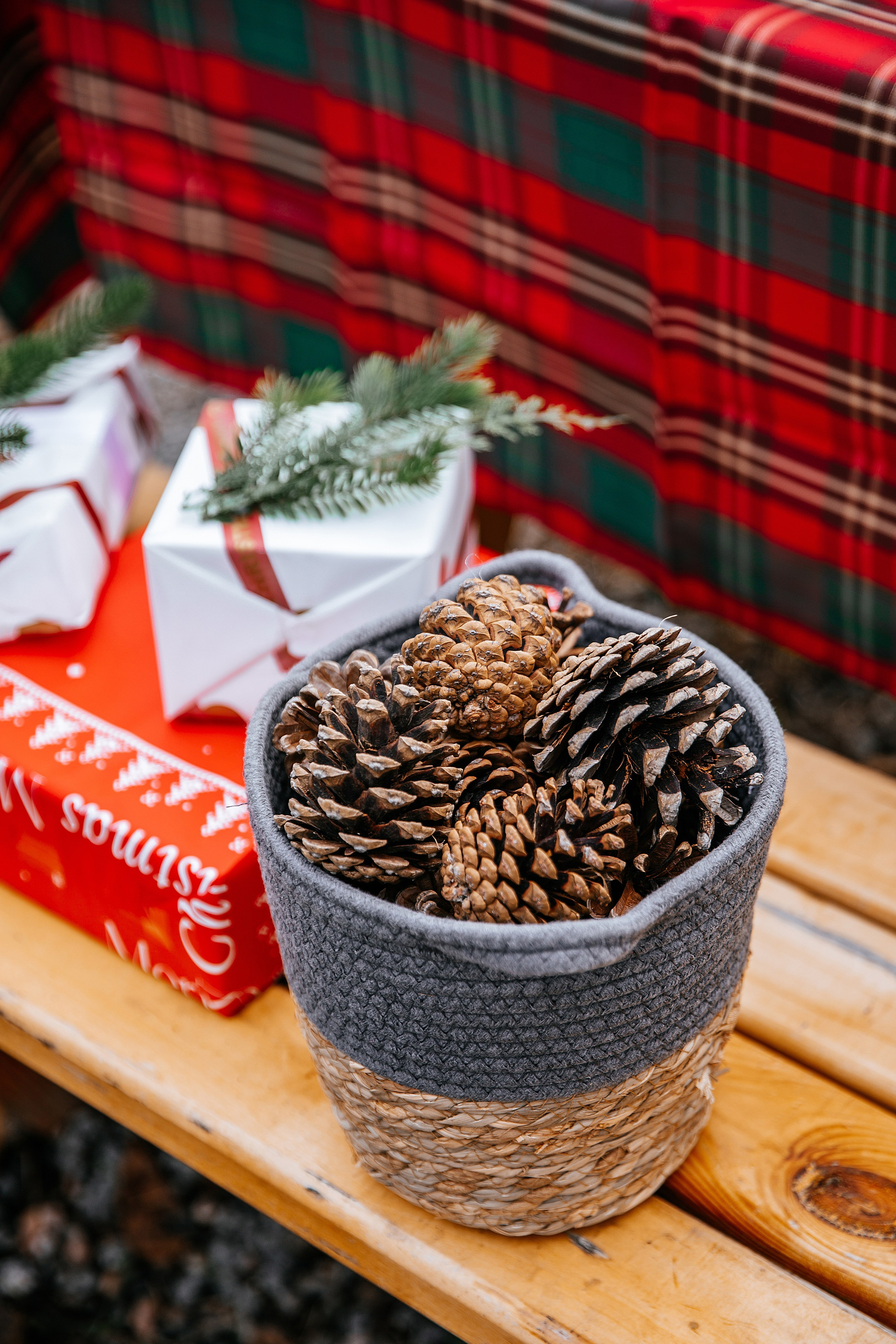 КЕМПИНГ. Фотостудия в Мариуполе «Берлога»