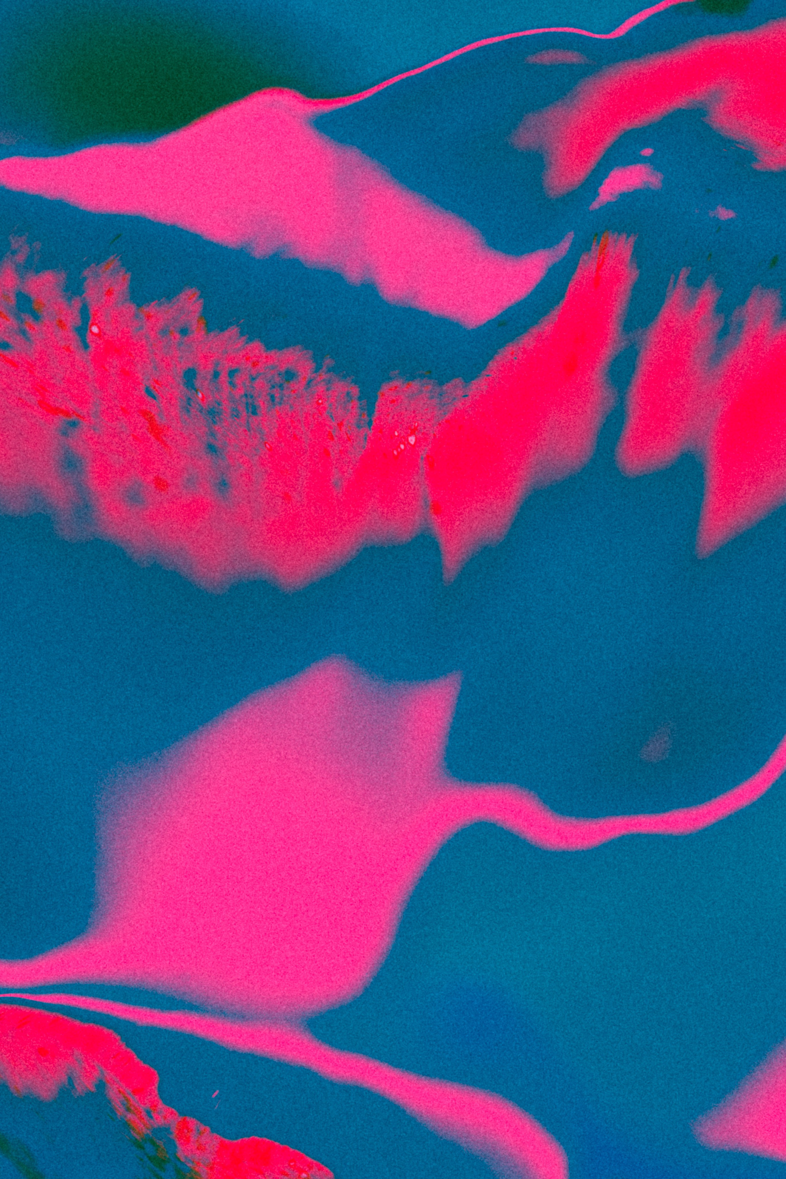 Хокку цветок 