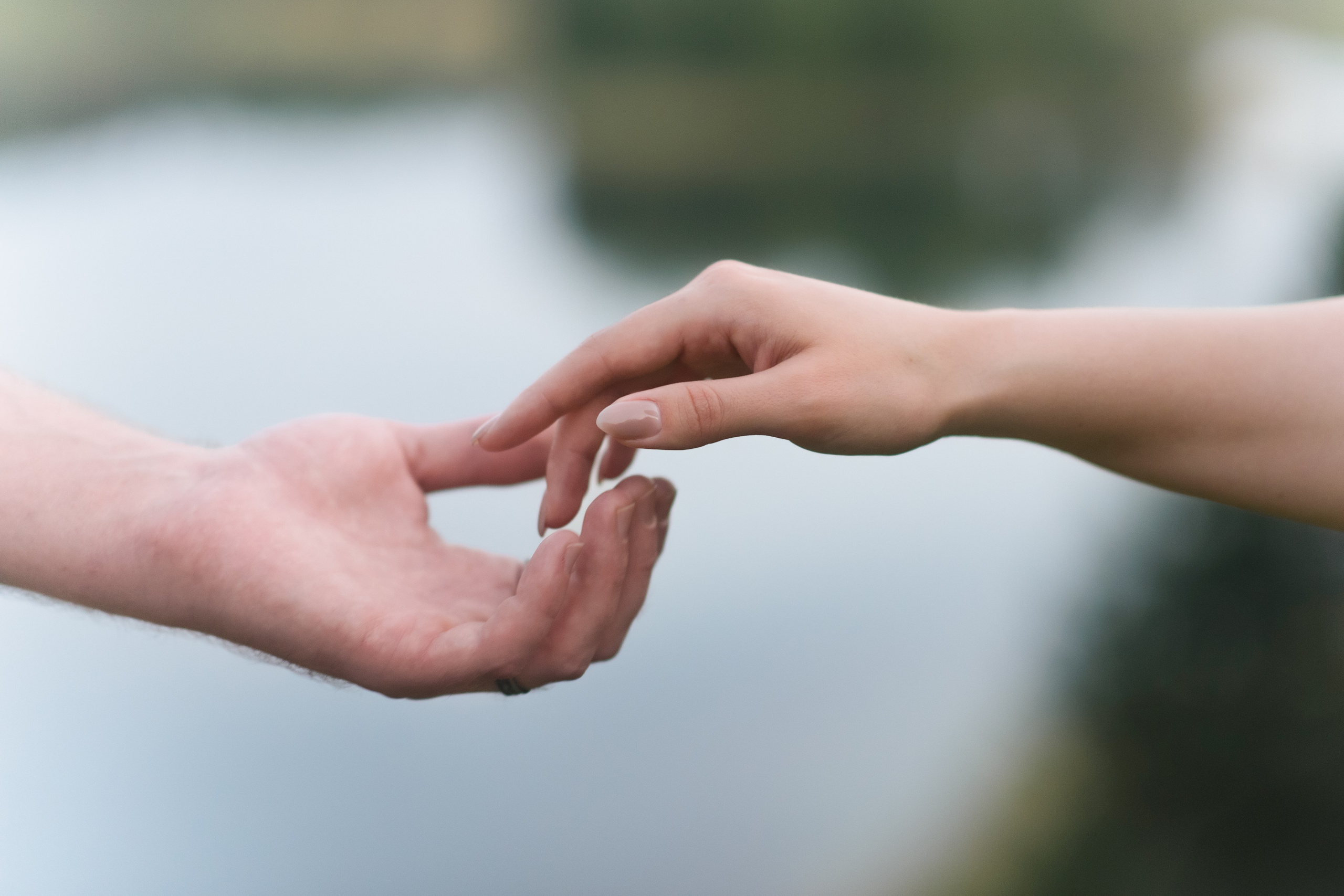 Максим, Надя, Шелби и Рой — 31.05.2025. Фотограф — Анималист | Анна Абрамова