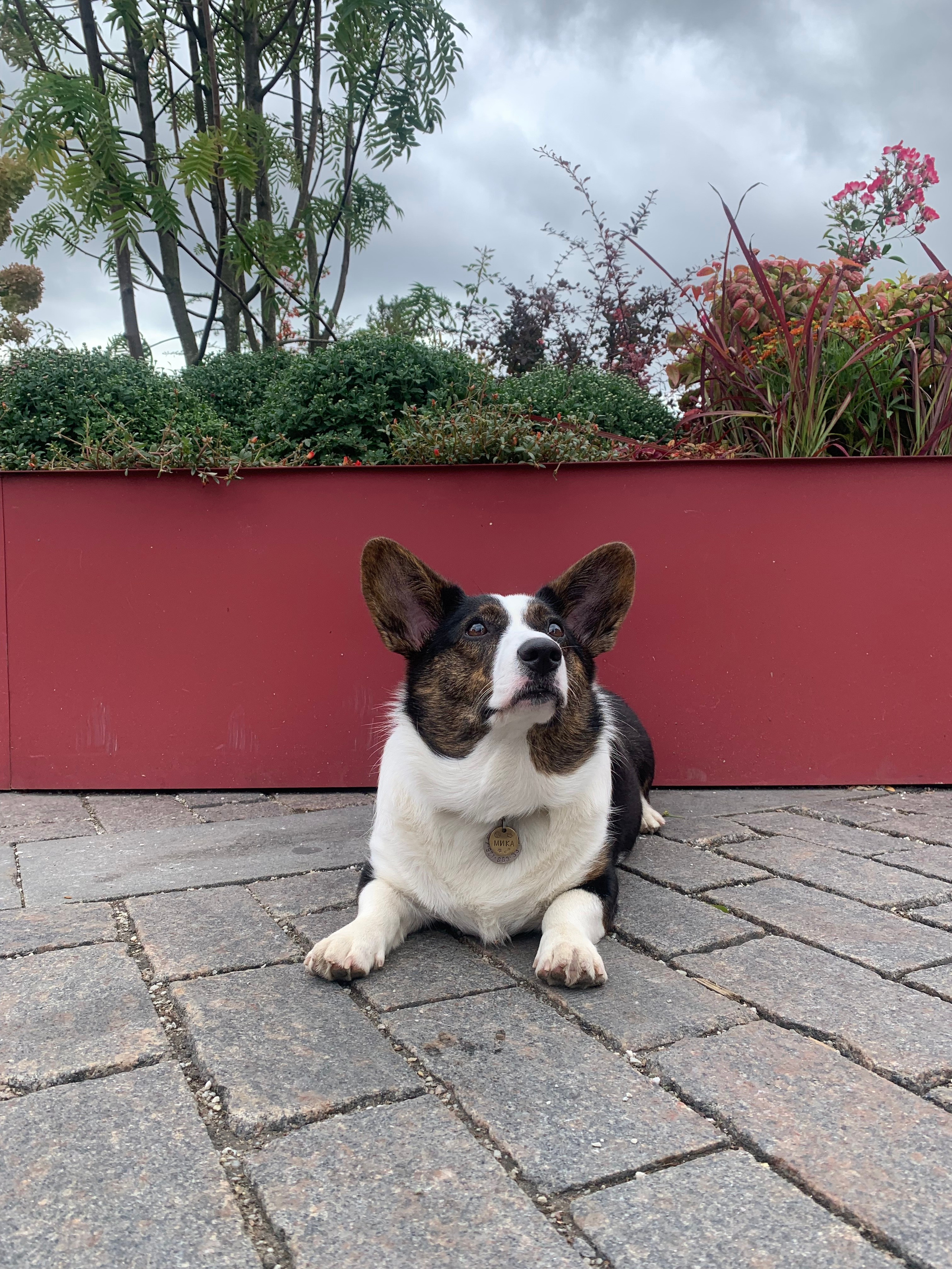 Мика. DEWA | фотостудия для маркетплейсов