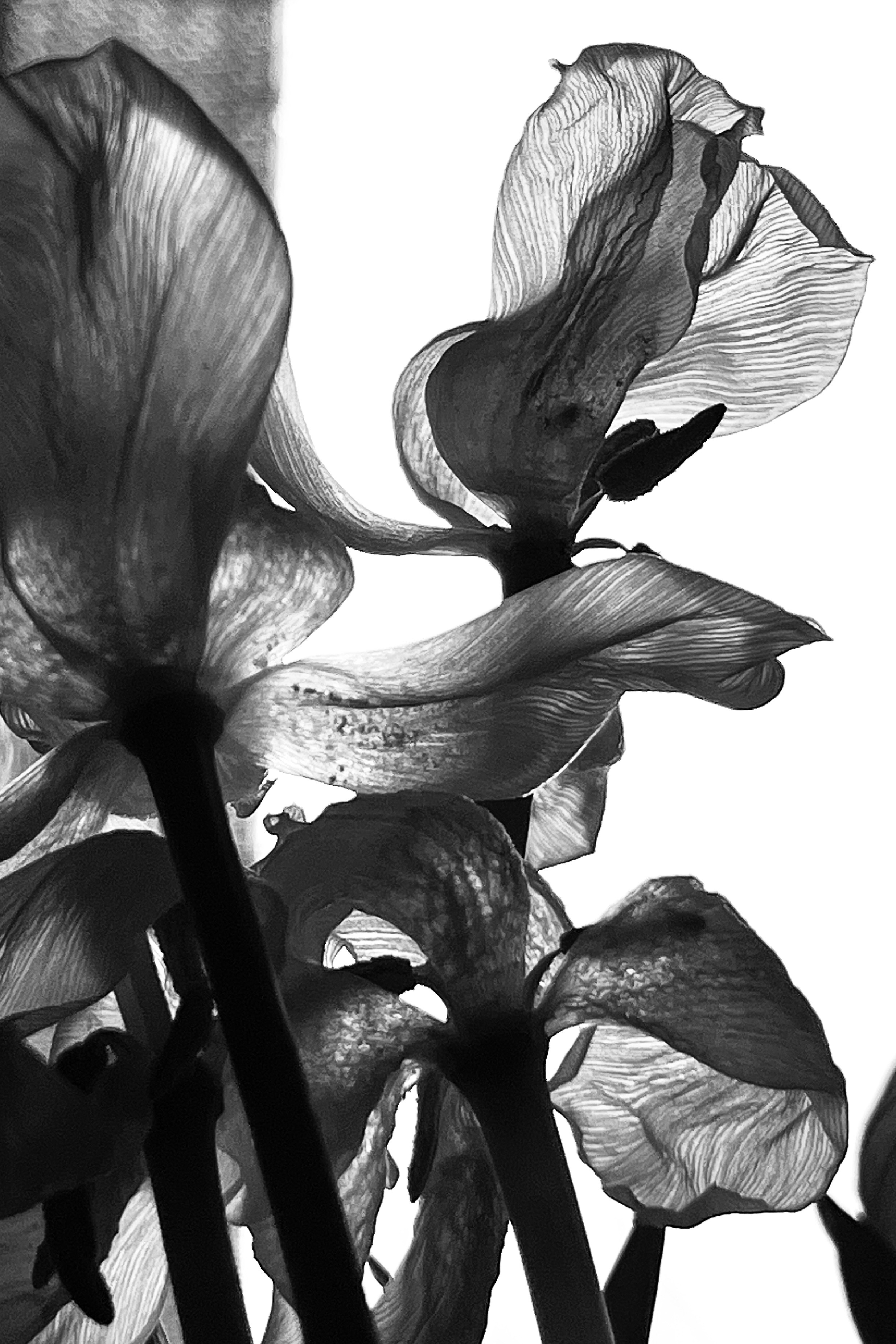 Женский портрет. Екатерина Денисова, фотограф, Москва