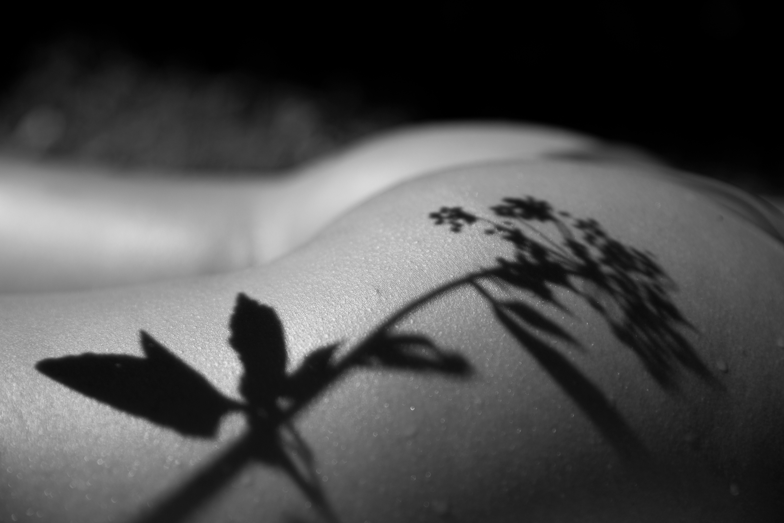 Женский портрет. Екатерина Денисова, фотограф, Москва